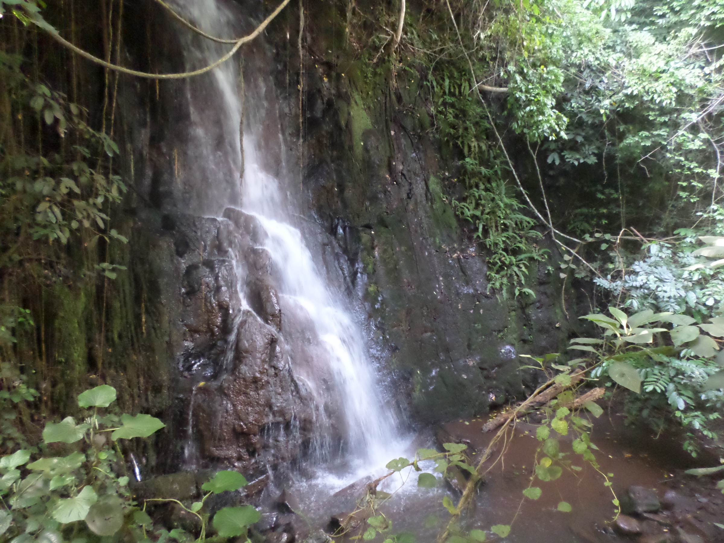 Cameroon — Bamboutos Mountains: Essential Day-Hikes