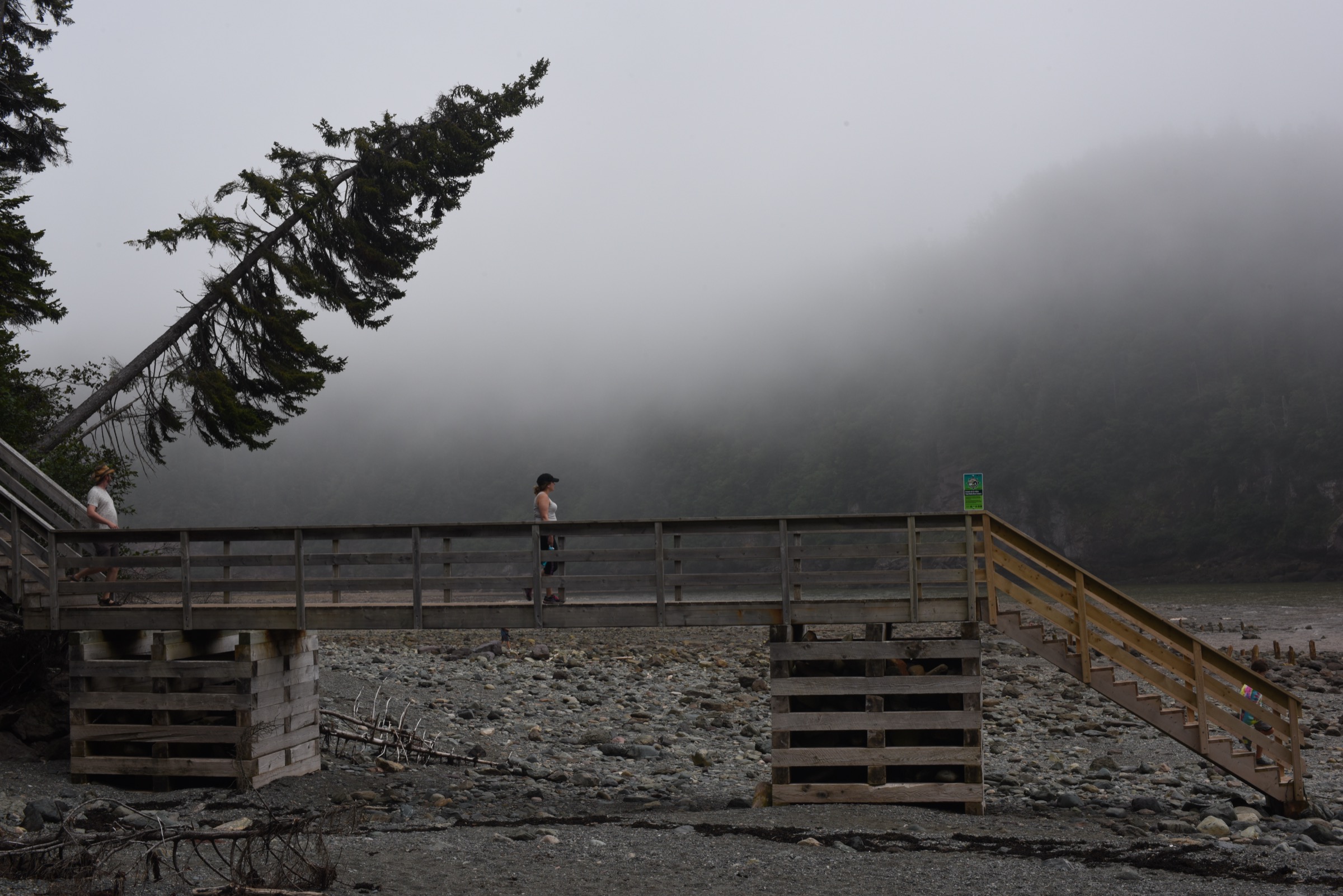 Canada — Fundy Highlands and Fundy National Park: Essential Day-Hikes