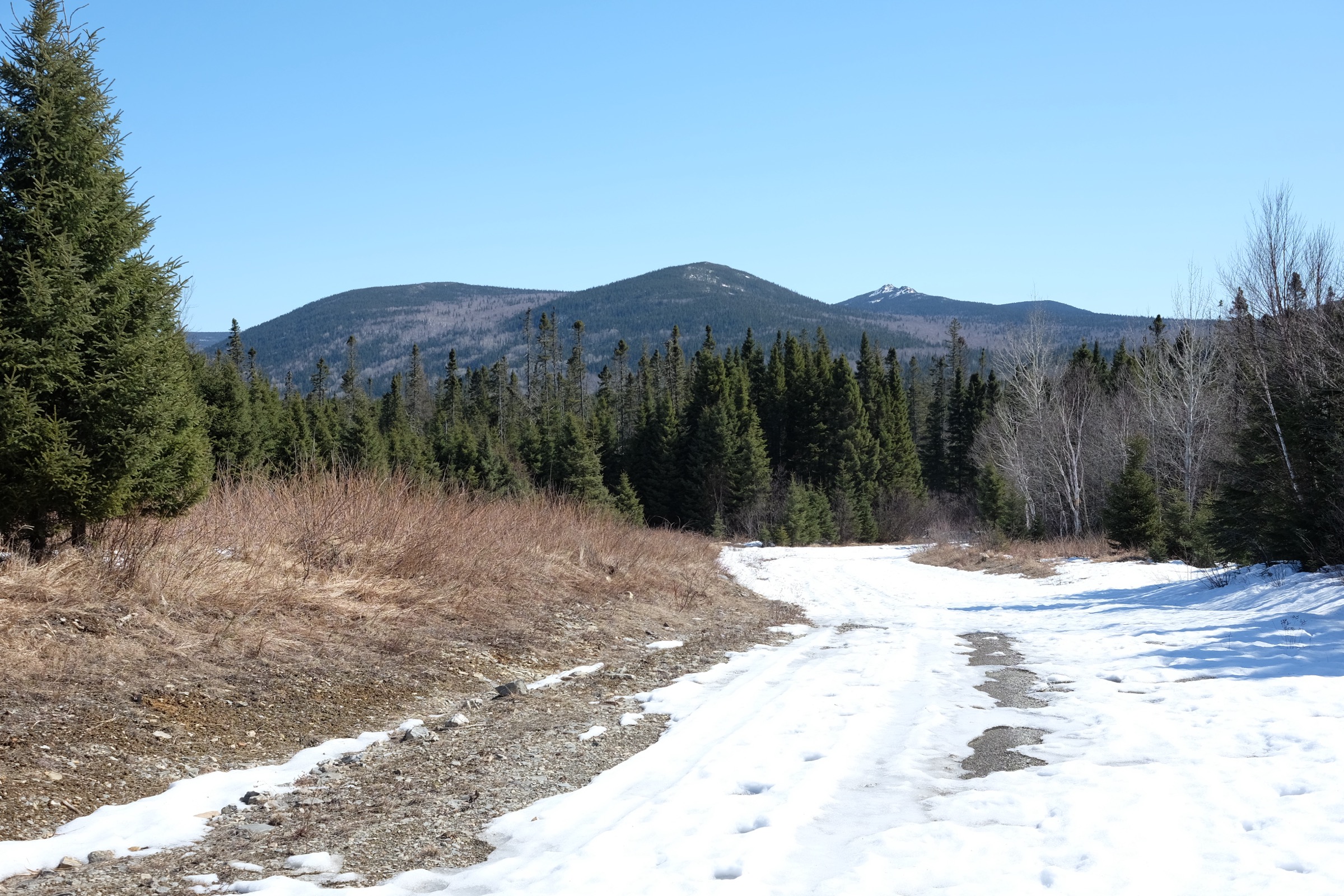 Canada — Mount Carleton (New Brunswick): Essential Day-Hikes