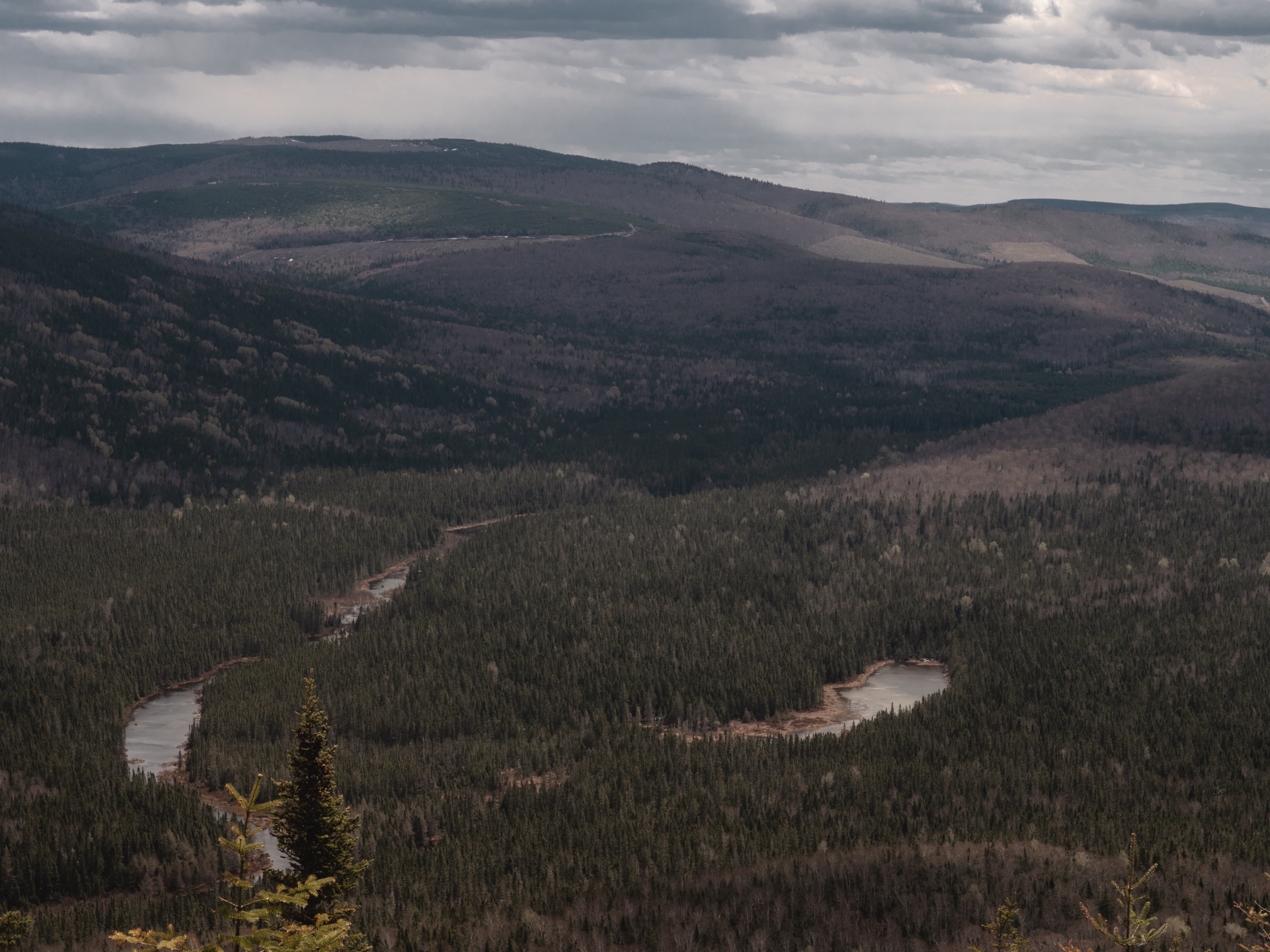 View north over the New Brunswick Highlands from the summit of Mount Bailey