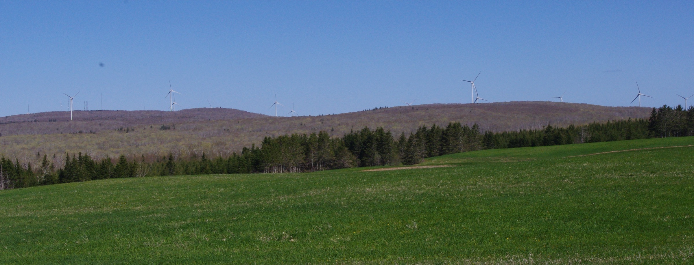 Nuttby Mountain, the long-recognised high point of mainland Nova Scotia, seen from Highway 311 in Colchester County