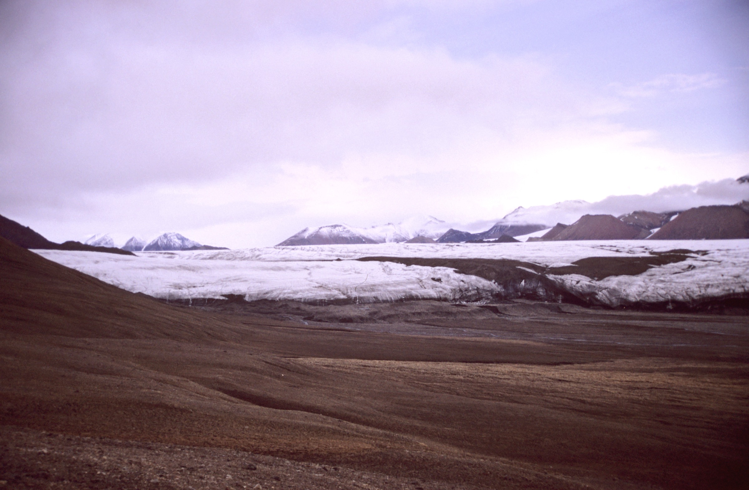 White Glacier and Thompson Glacier descending to Expedition Fiord, Axel Heiberg Island