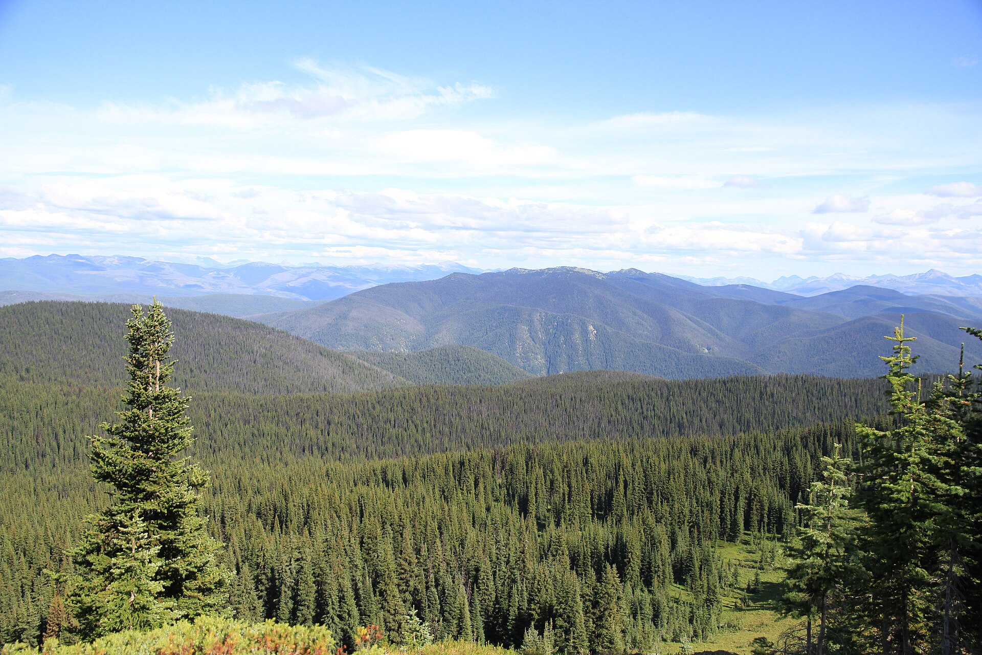 View south from the Heather Trail across alpine meadows, E.C. Manning Provincial Park