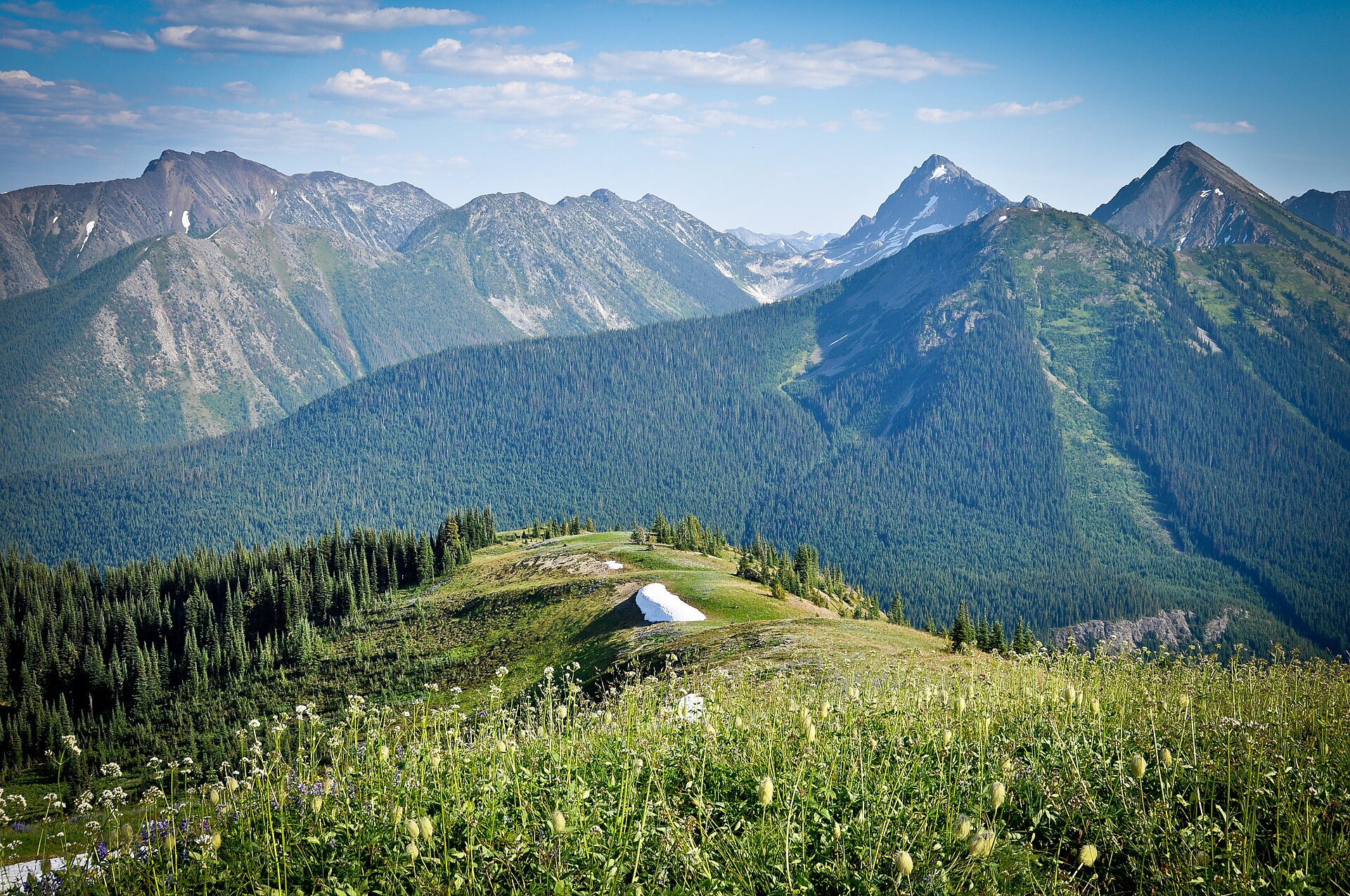 Hozameen Range viewed from Snow Camp Mountain, E.C. Manning Provincial Park