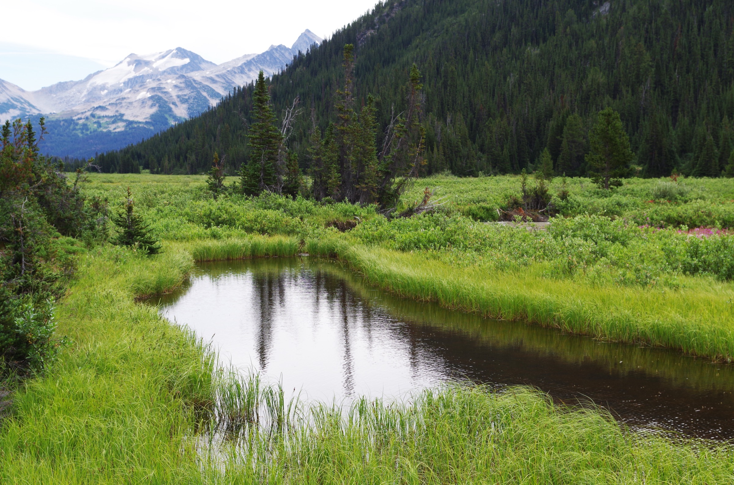 Canada — Coast Mountains: Chilcotin Ranges