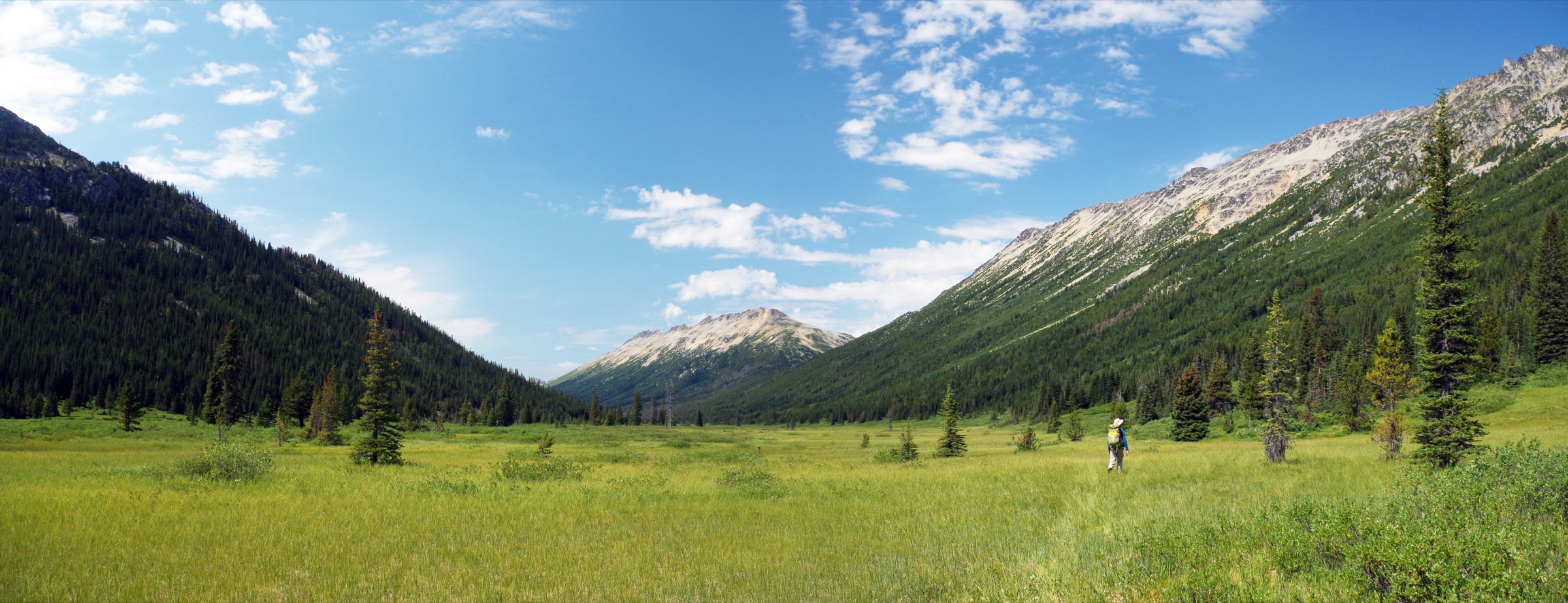 Open meadow in the South Chilcotin Mountains