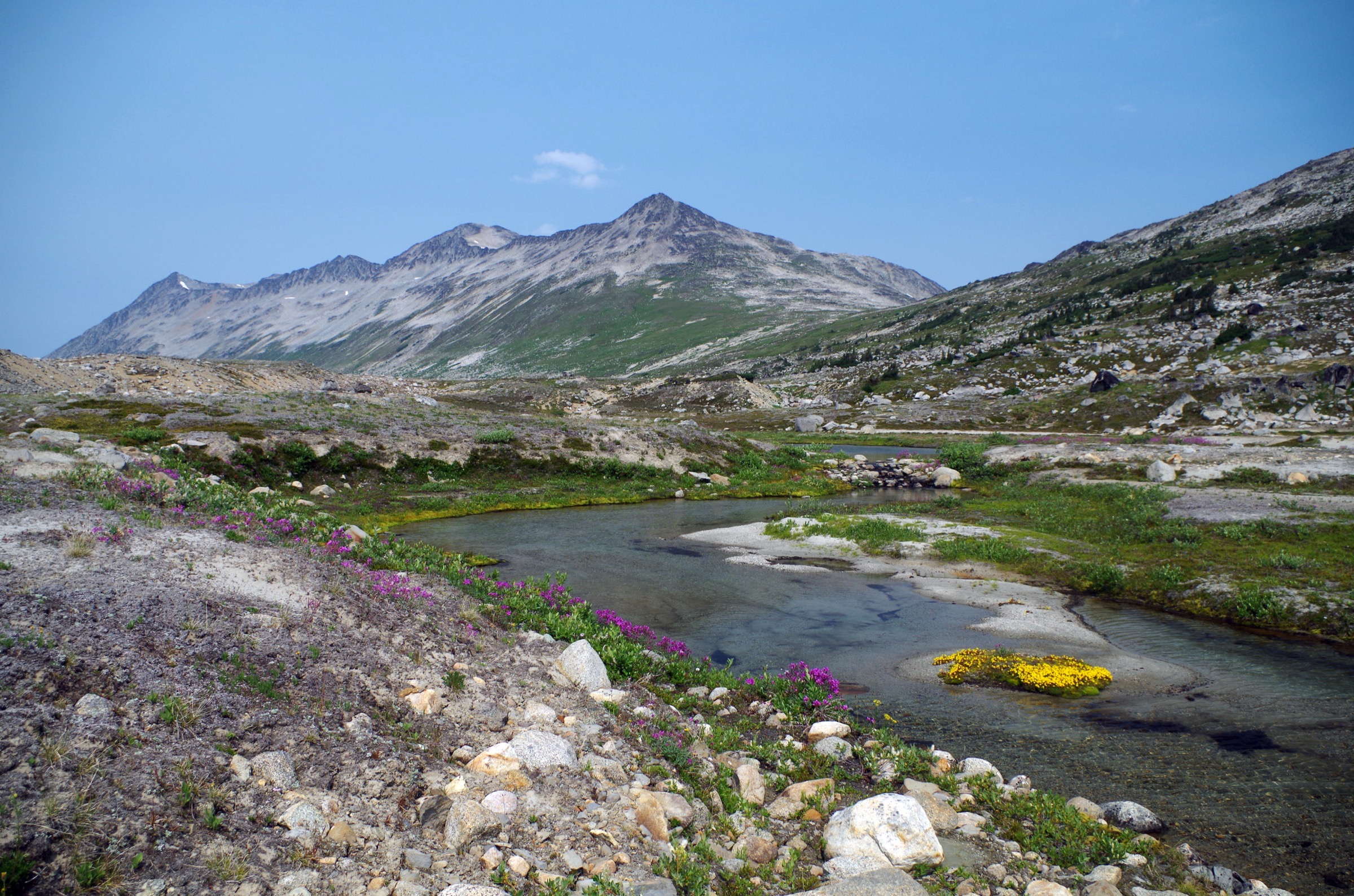 Wolverine Pass, South Chilcotin Mountains — representative alpine pass terrain in the same range