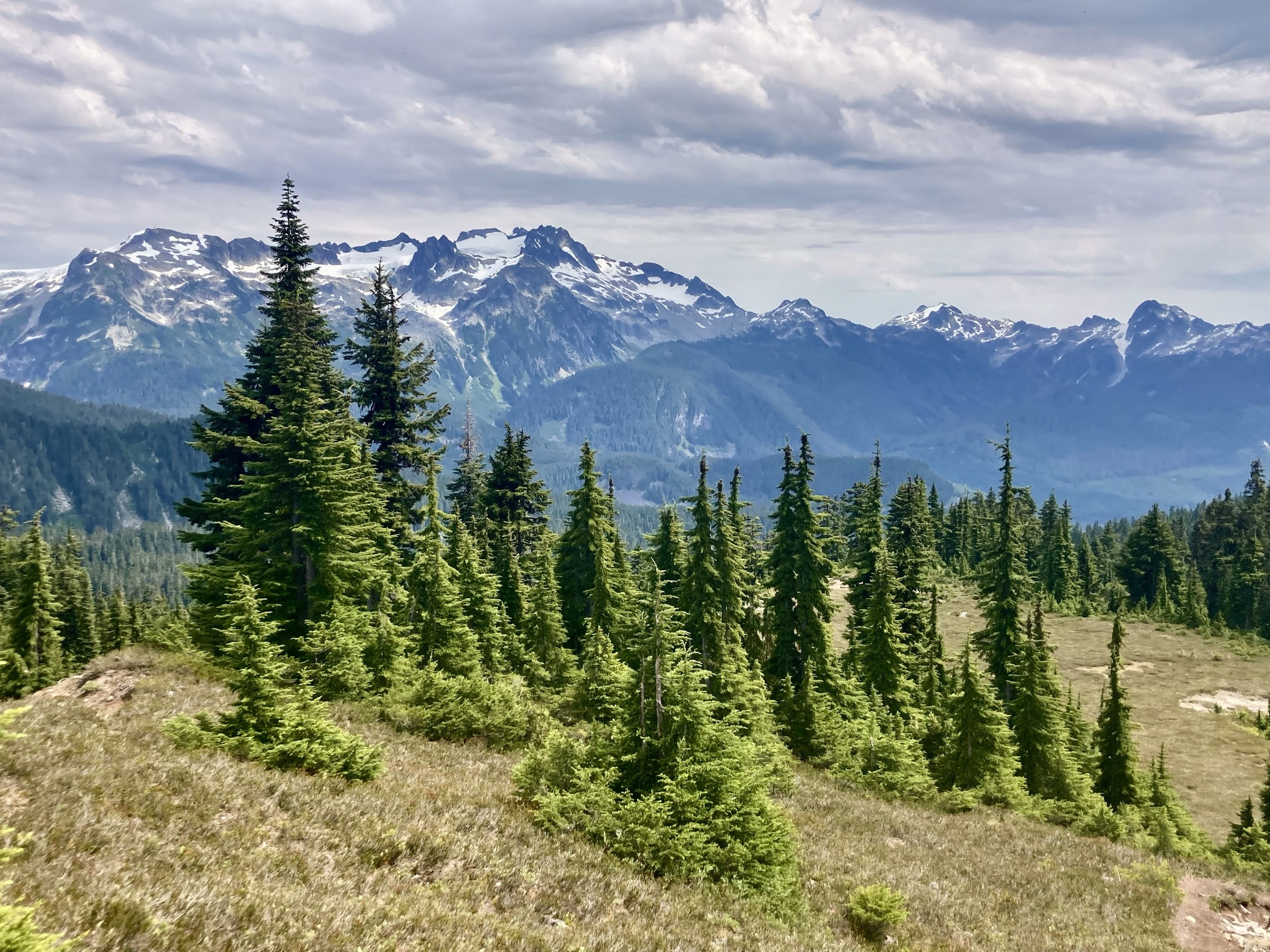 Subalpine landscape near Elfin Lakes in Garibaldi Provincial Park