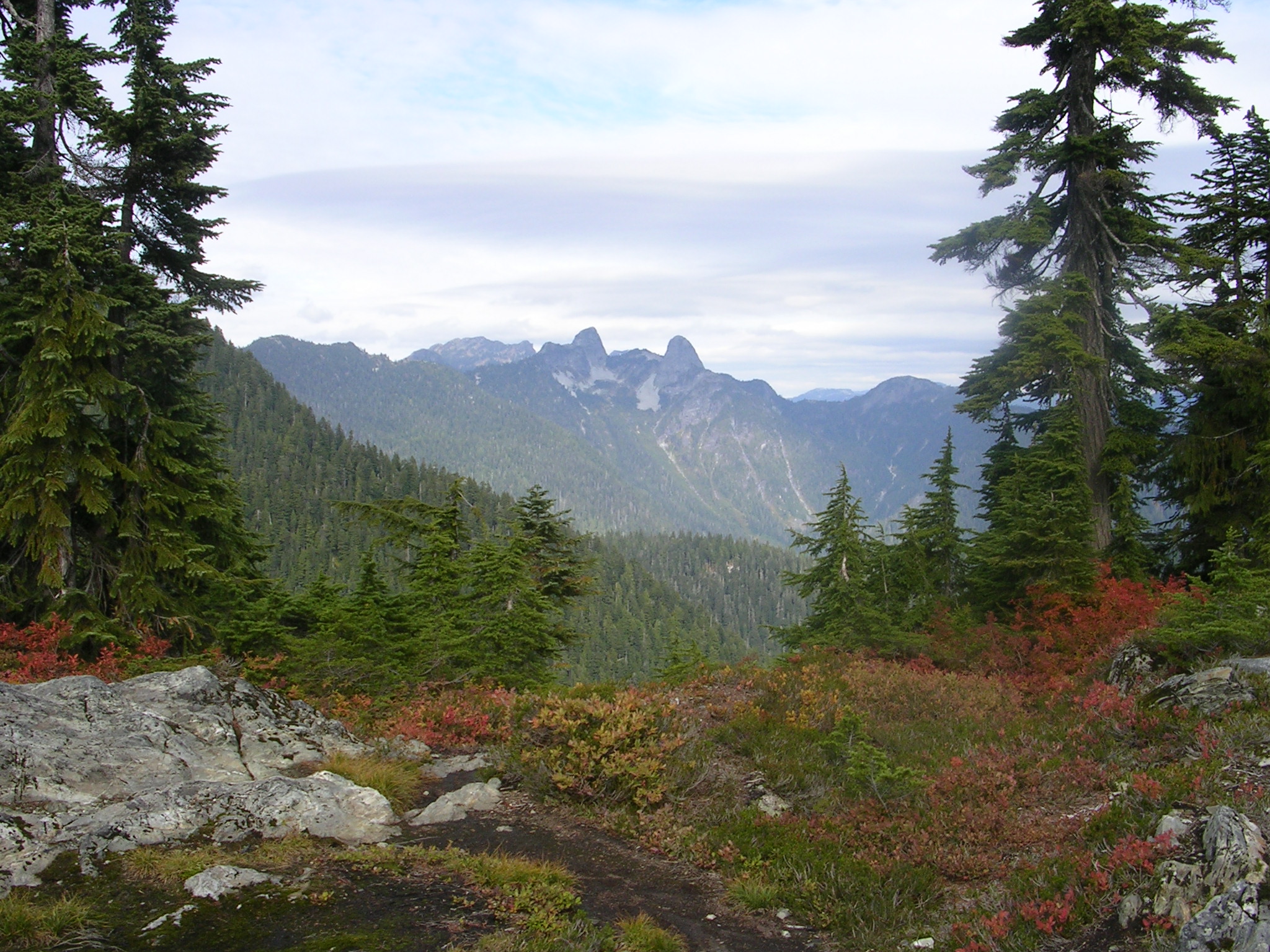 View of The Lions from the Hollyburn Mountain Trail, Cypress Provincial Park