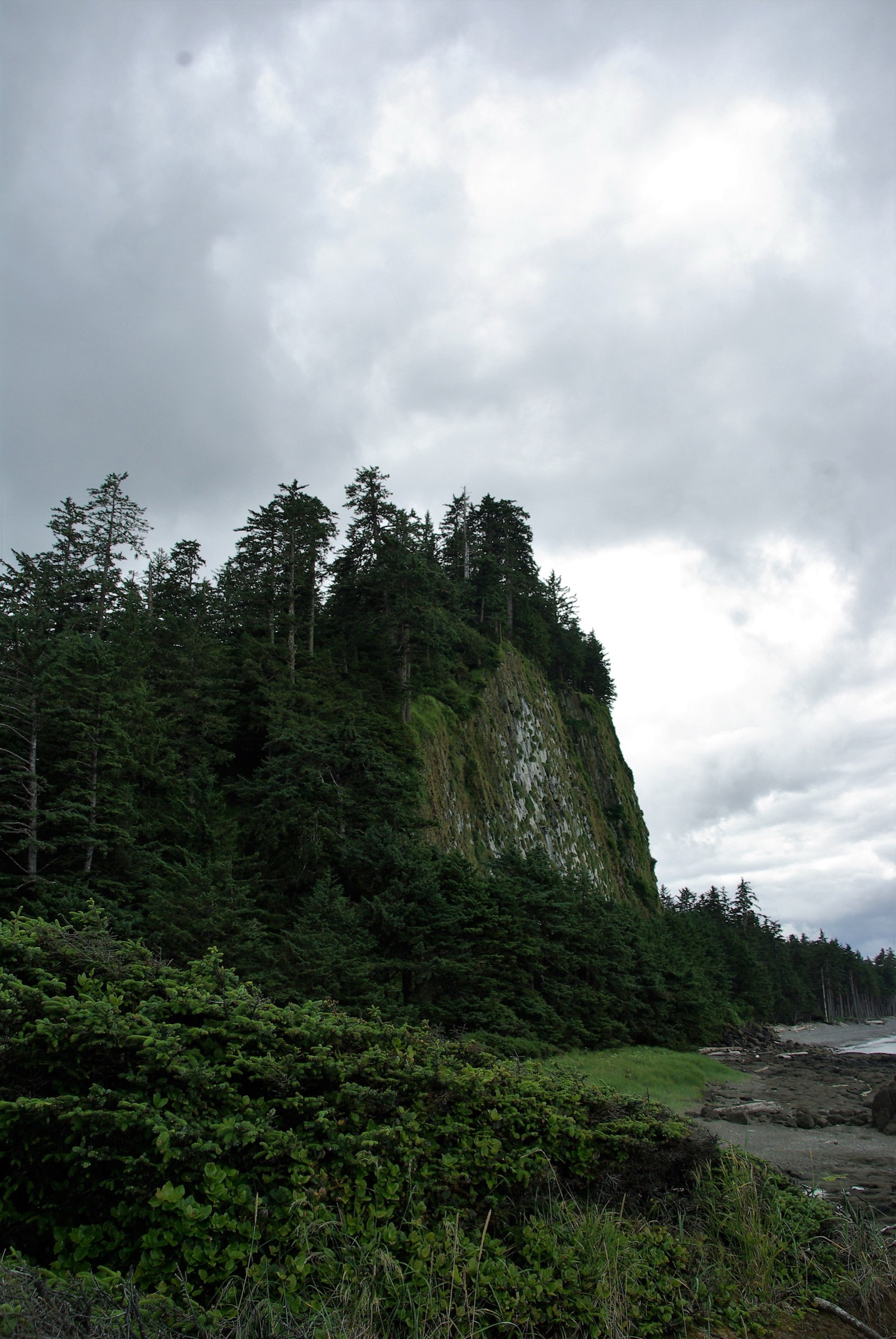 Taaw Tldáaw (Tow Hill), the eroded volcanic plug of columnar basalt at the eastern end of North Beach, Haida Gwaii
