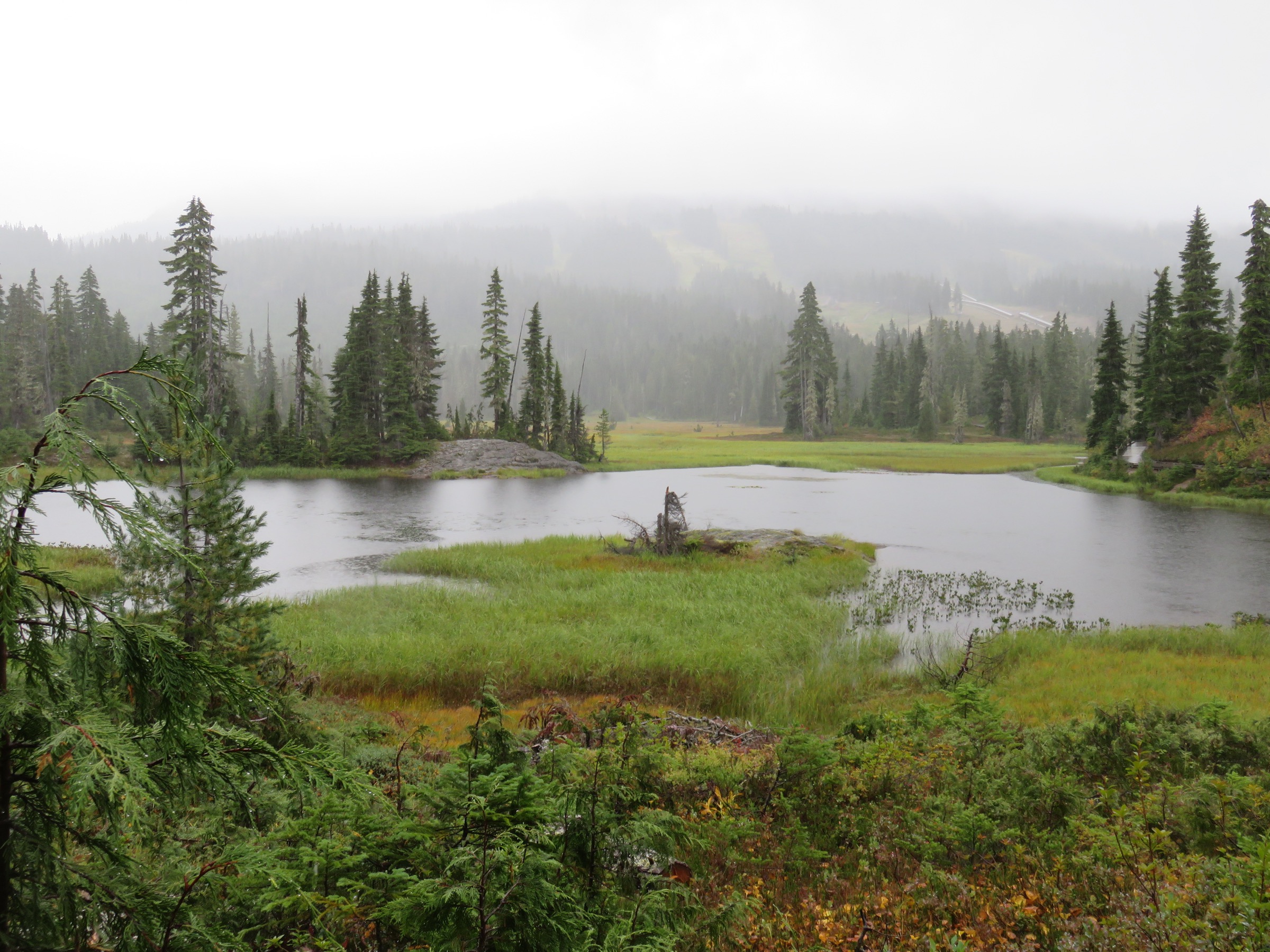 Paradise Meadows, Strathcona Provincial Park — contextual view of the Forbidden Plateau