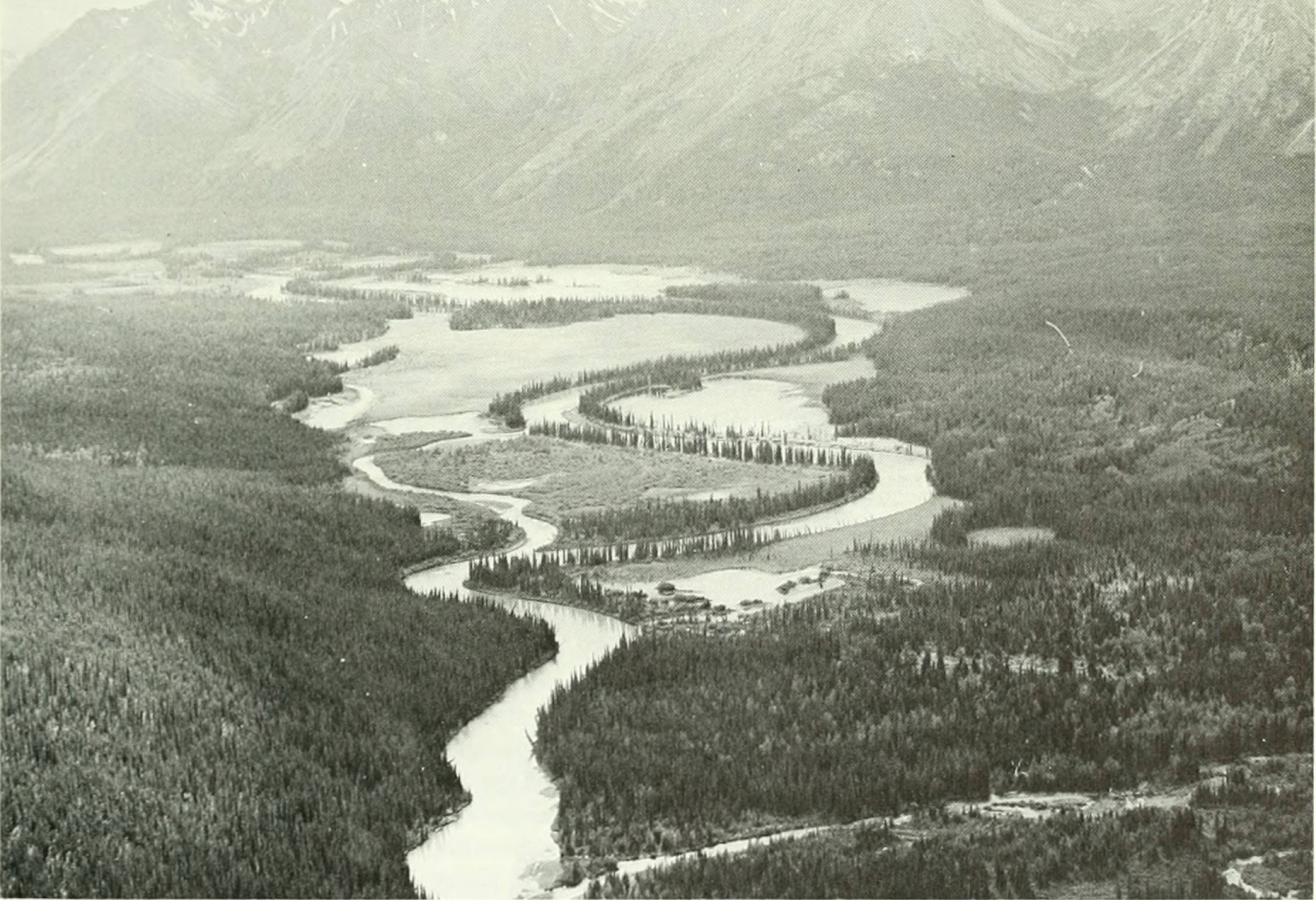 Canada — Interior Ranges: Skeena Mountains