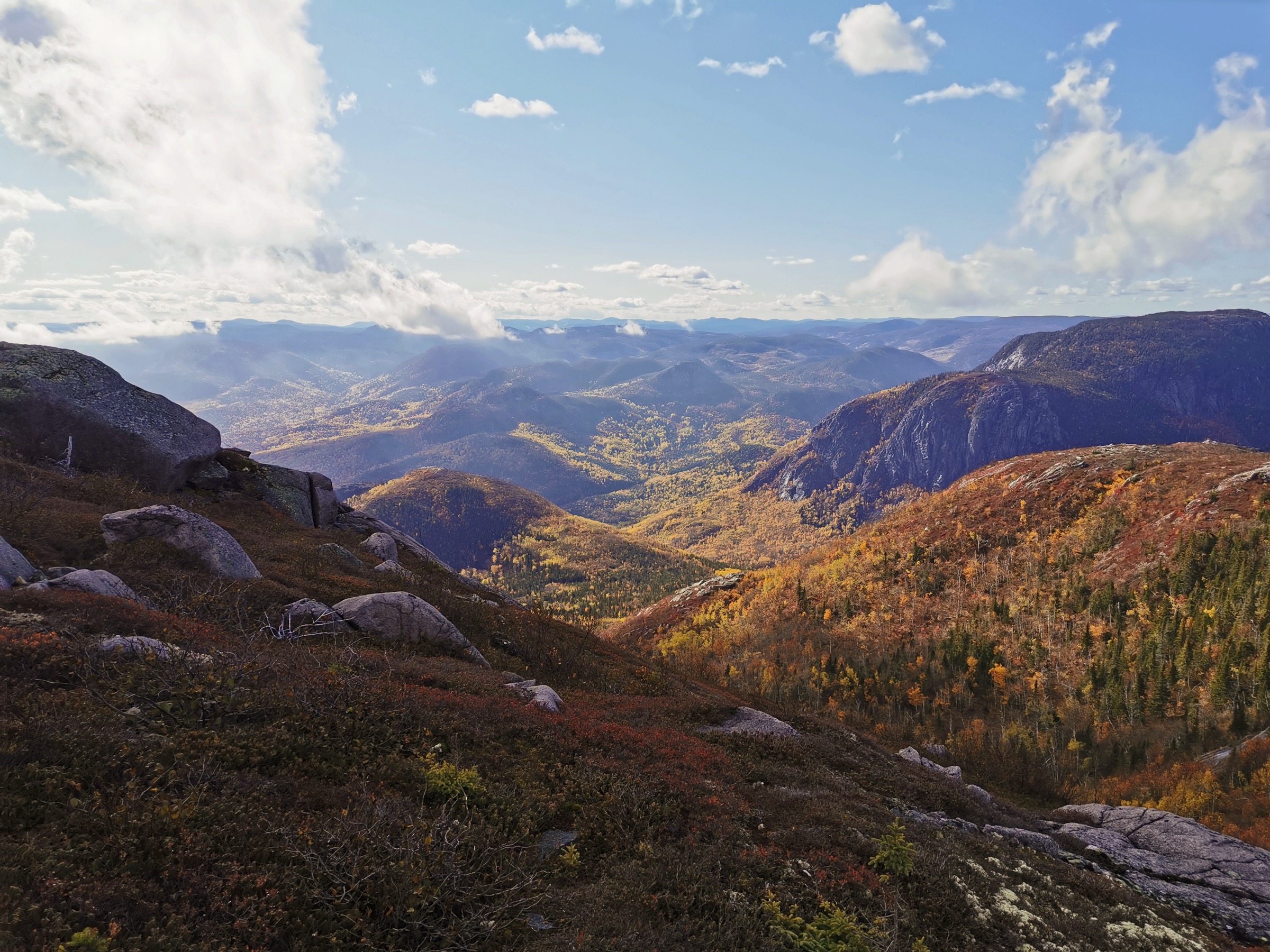 Rounded summits of the Charlevoix plateau viewed from a nearby high point in Parc national des Grands-Jardins