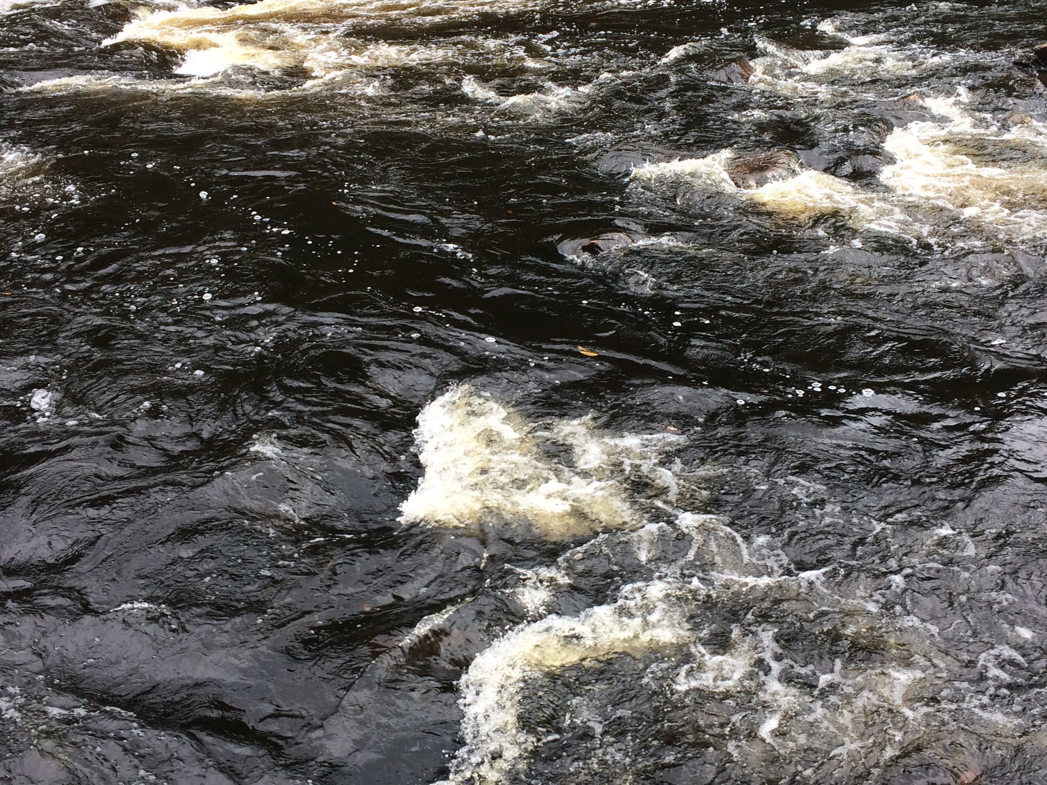 Rivière du Diable in autumn colour, Parc national du Mont-Tremblant