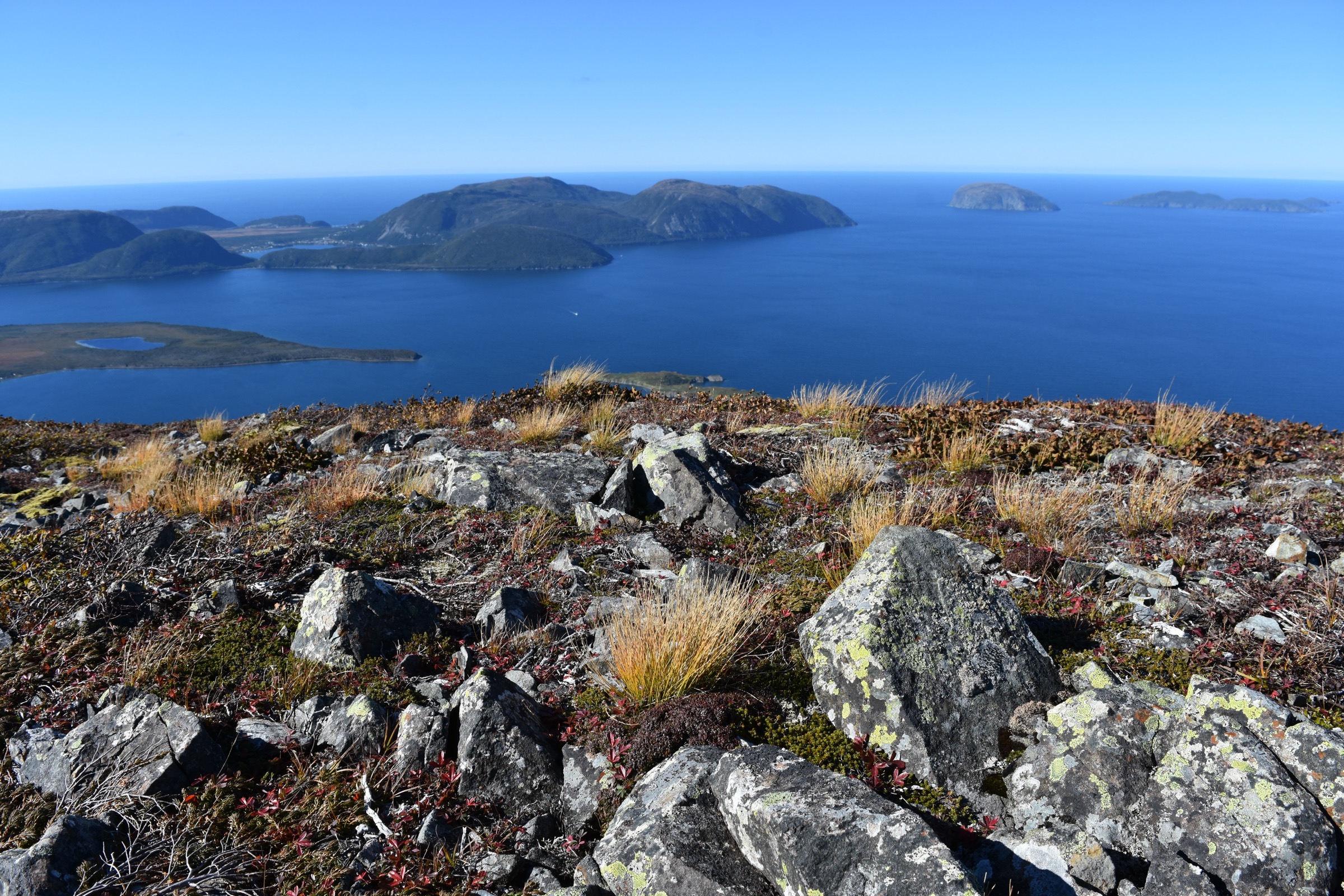 Bay of Islands seen from the Blow Me Down Mountains, with the Lewis Hills behind to the south