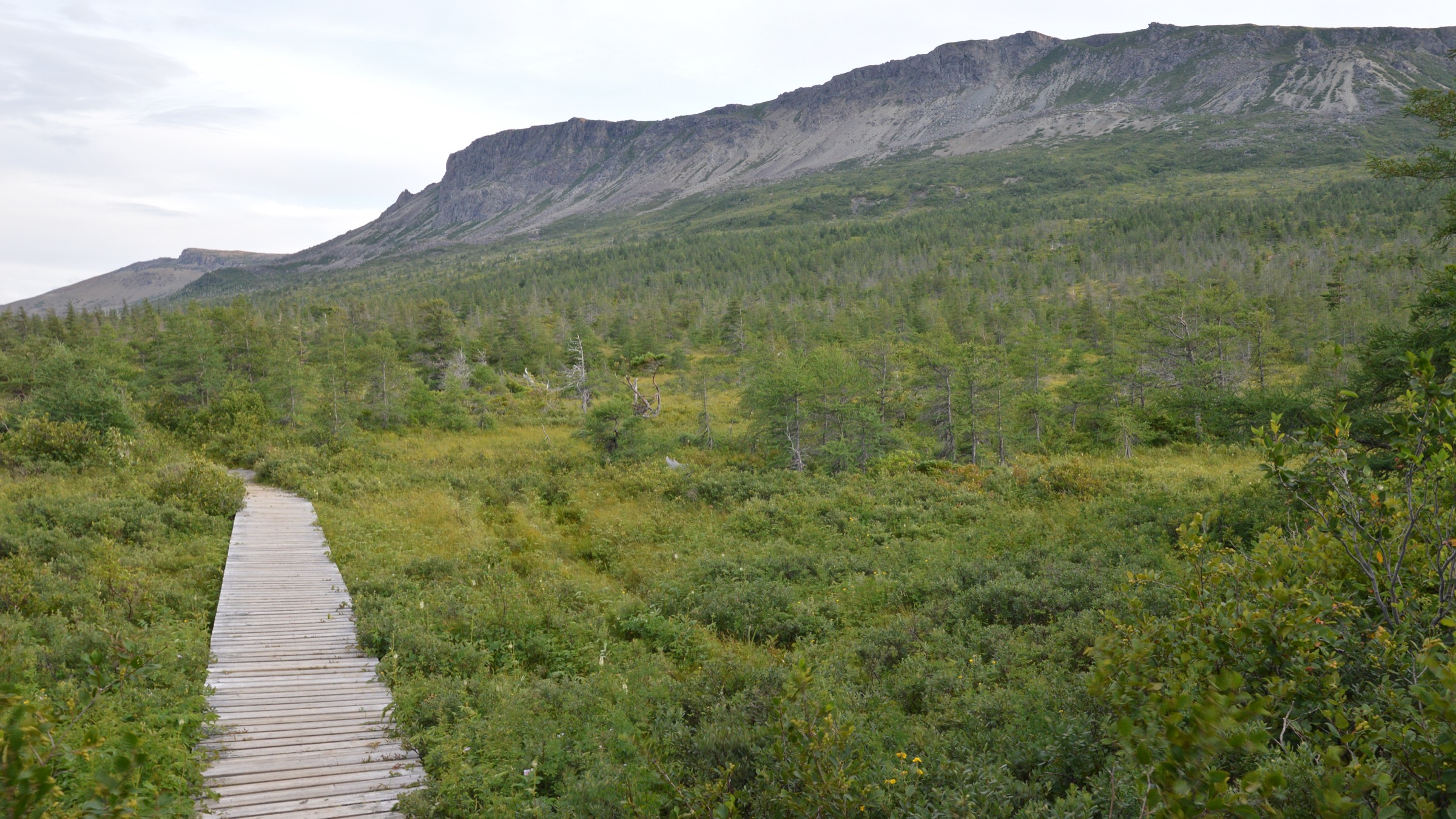 View from the Blow Me Down Nature Trail, Humber Arm South, Newfoundland