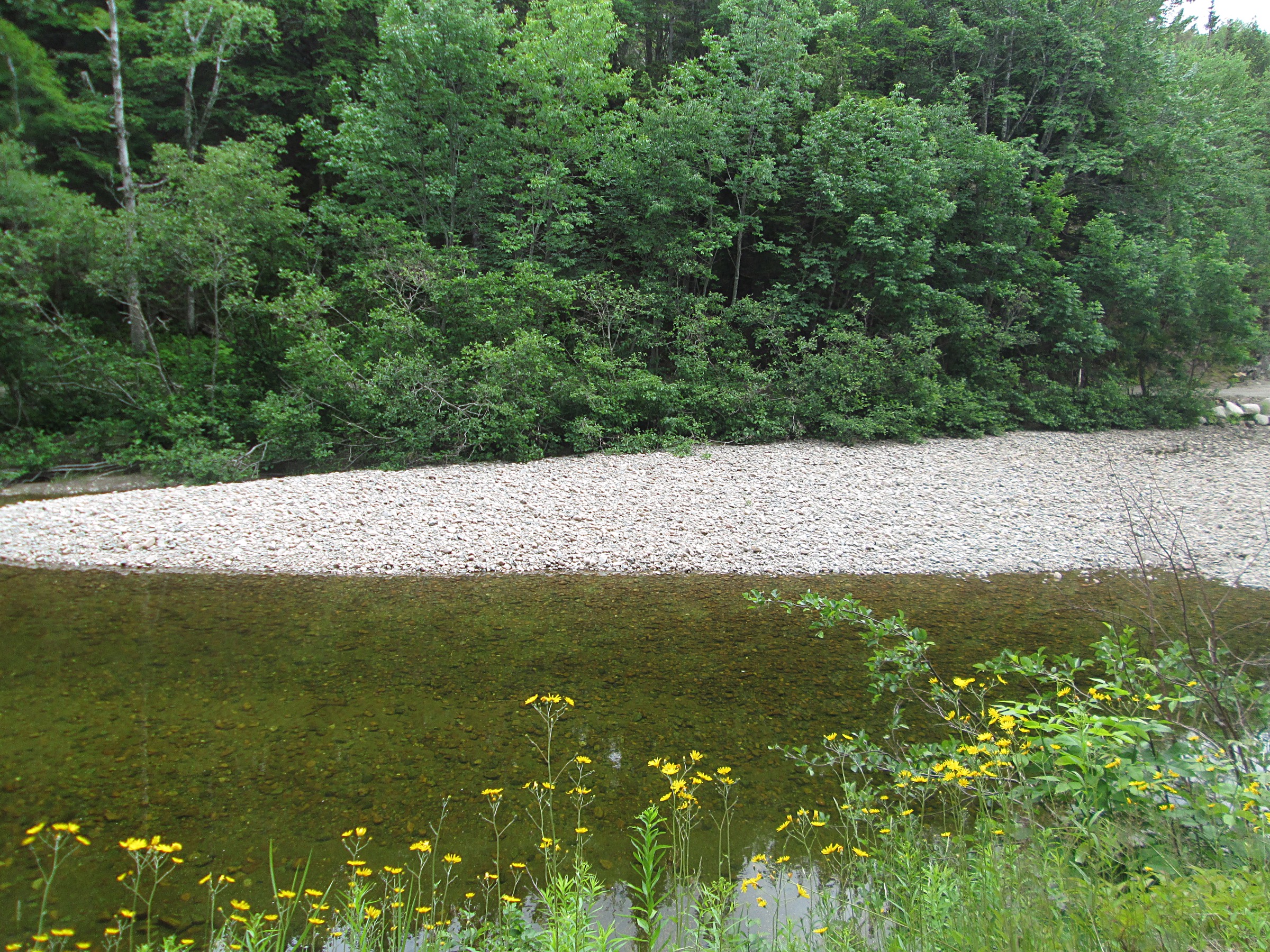 Clyburn Valley below Franey Mountain, Cape Breton Highlands National Park
