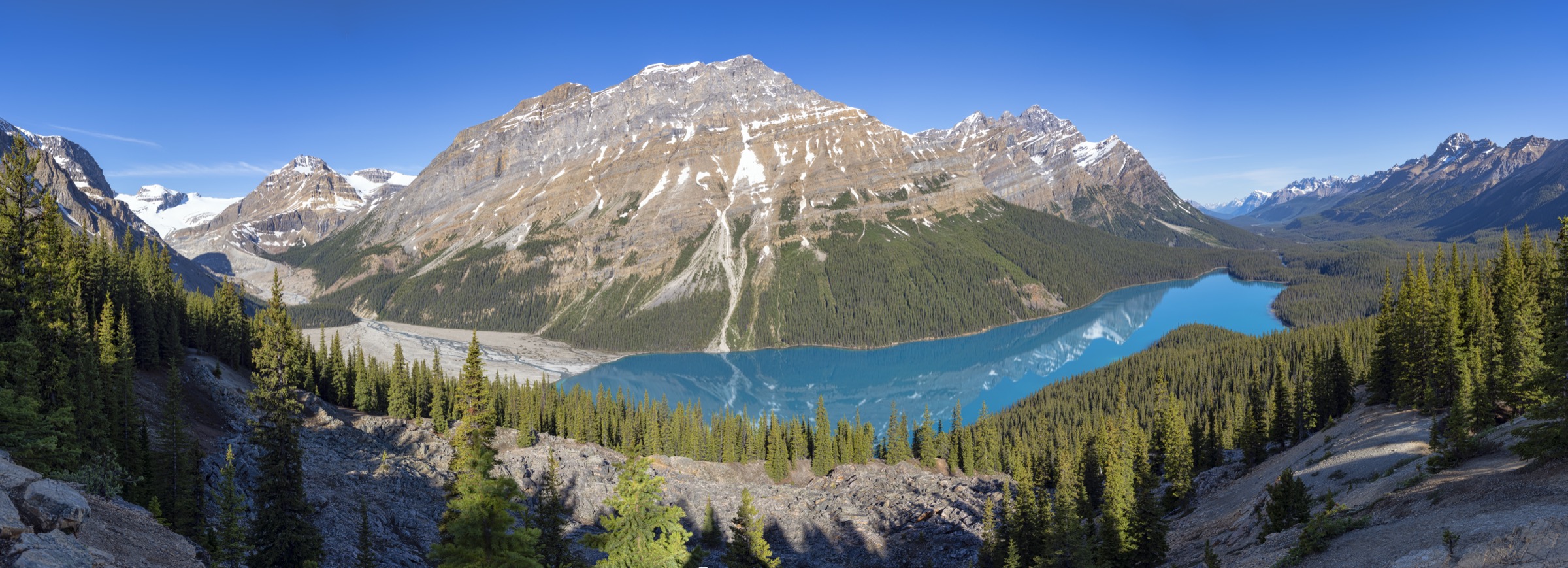 Peyto Lake panorama from the Bow Summit upper viewpoint