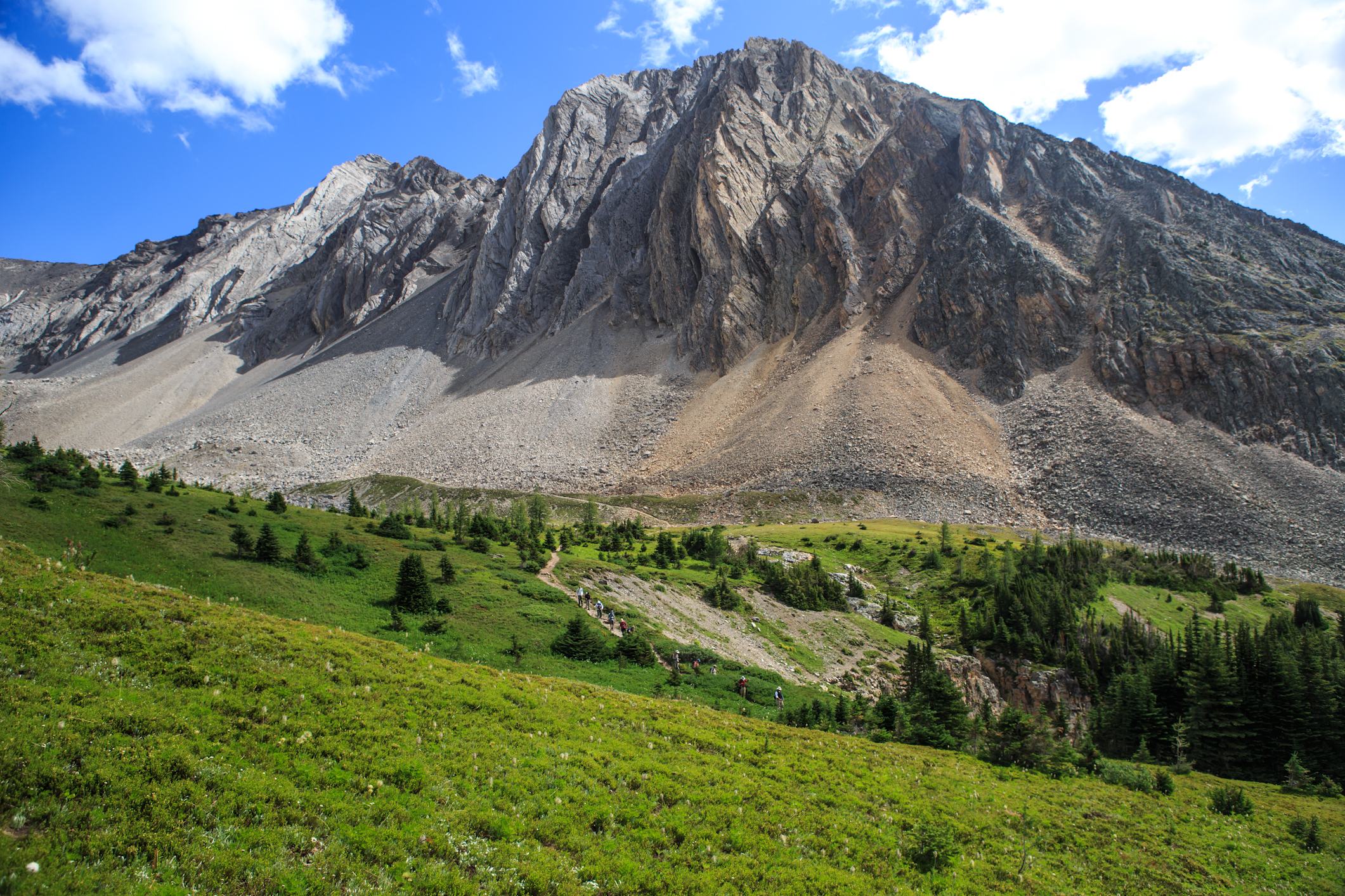 Ptarmigan Basin above Highwood Pass in Peter Lougheed Provincial Park