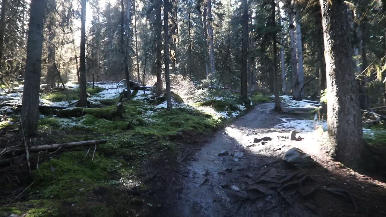 Rawson Lake trail in Peter Lougheed Provincial Park