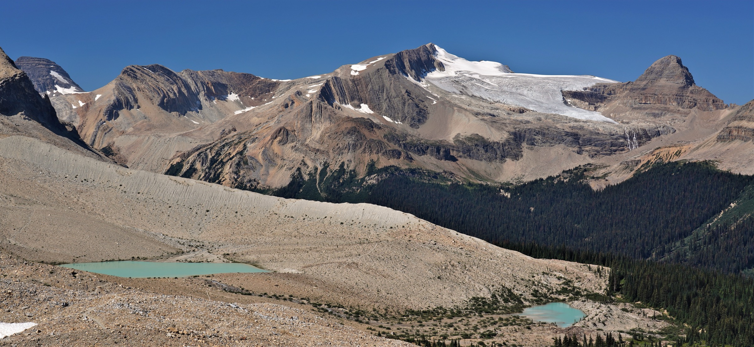 Glacier-edge tarns and moraine on the Iceline Trail, Yoho National Park