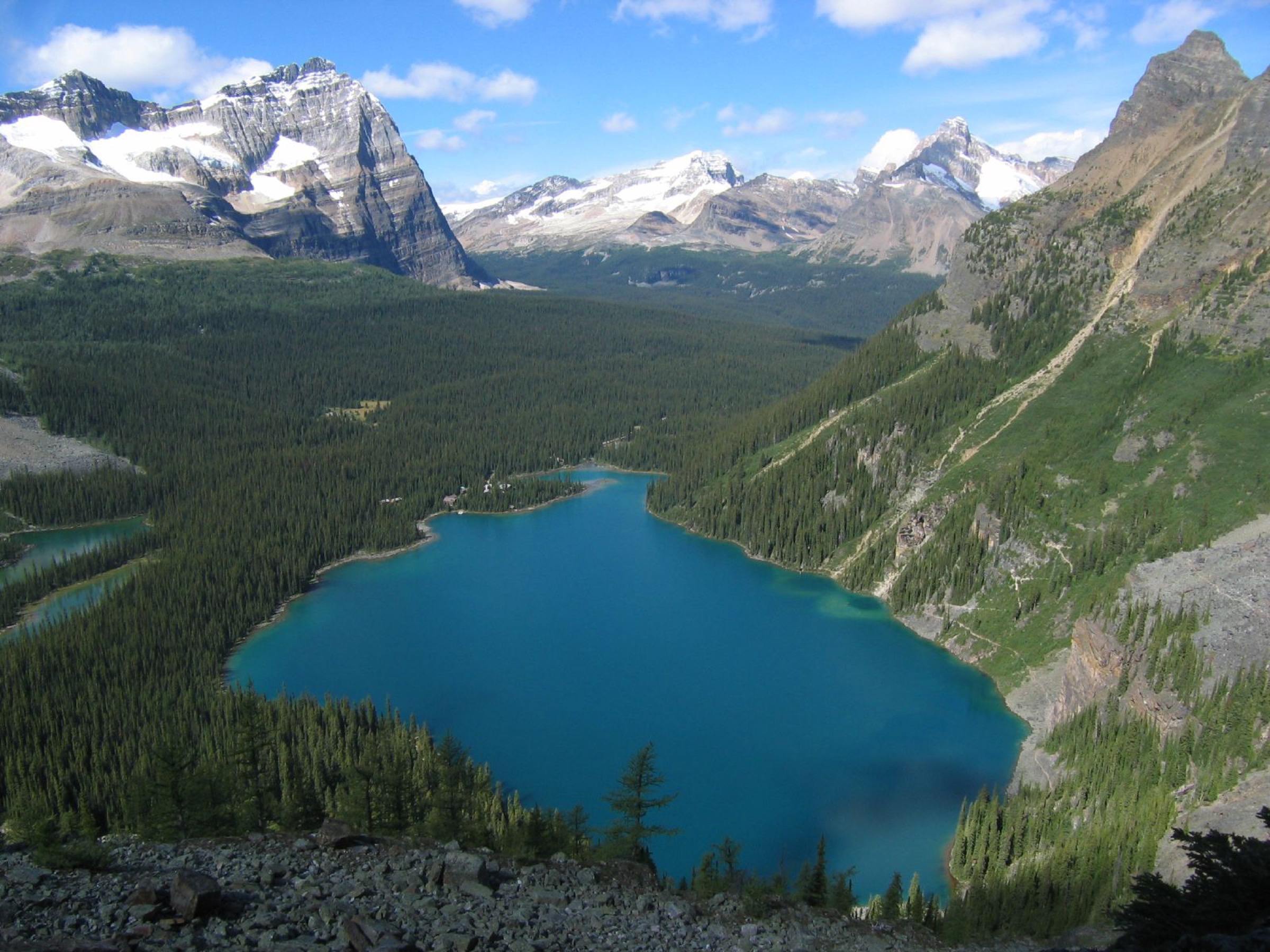 Lake O'Hara from the Yukness Ledge Alpine Route
