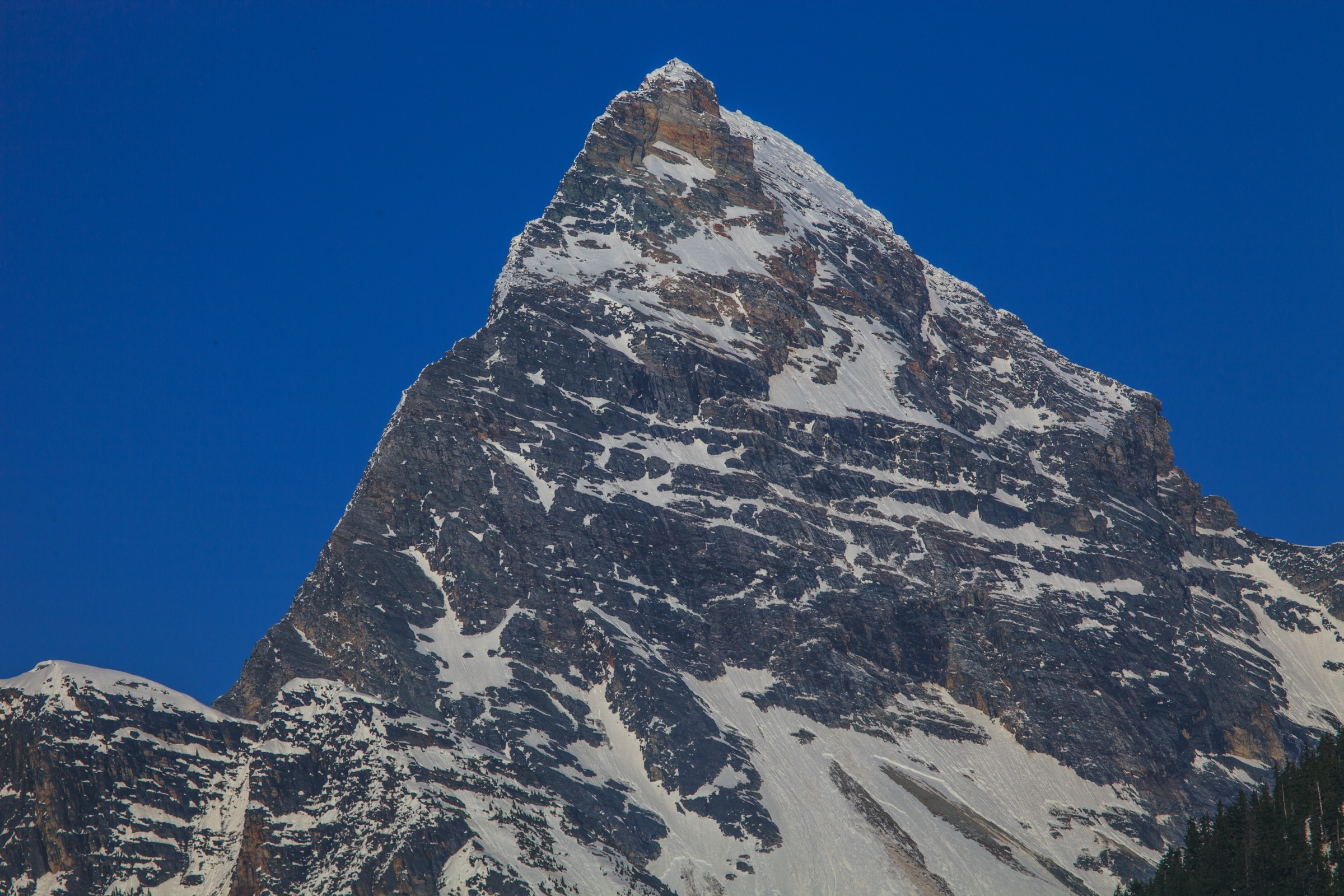Canada — Selkirks and Rogers Pass: Day-Hikes