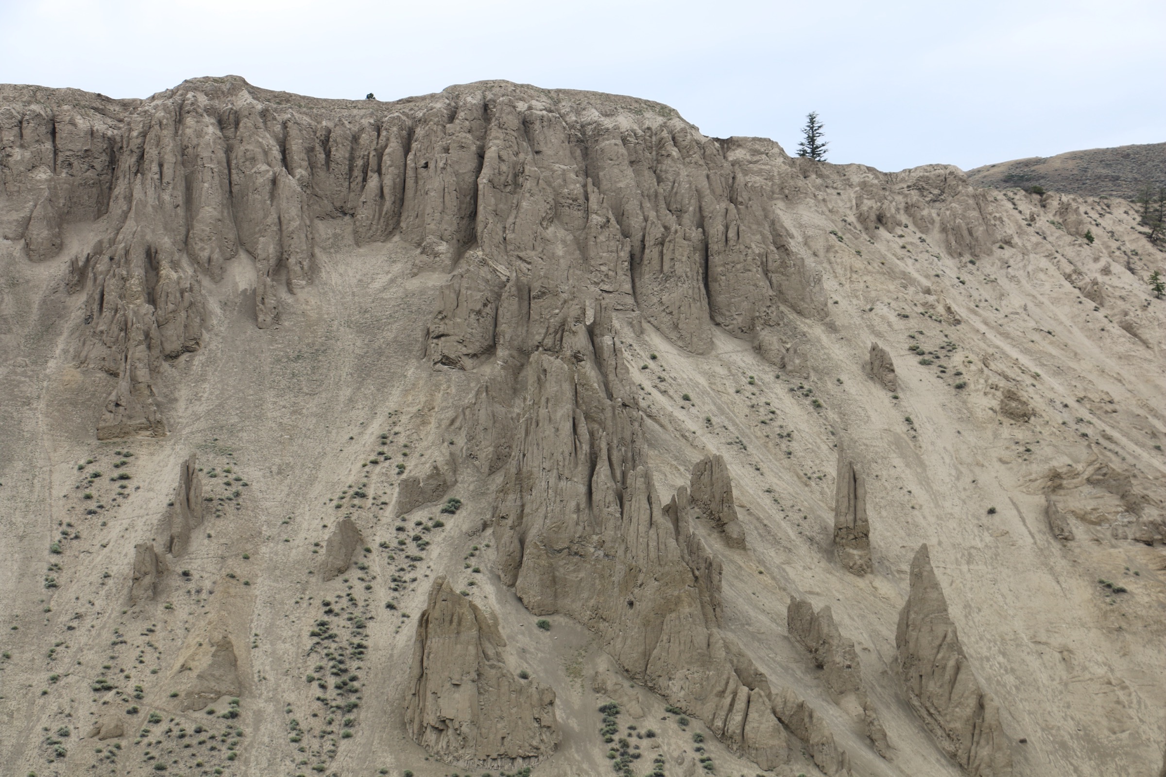 Silt-pinnacle hoodoos above the Chilcotin River at Farwell Canyon