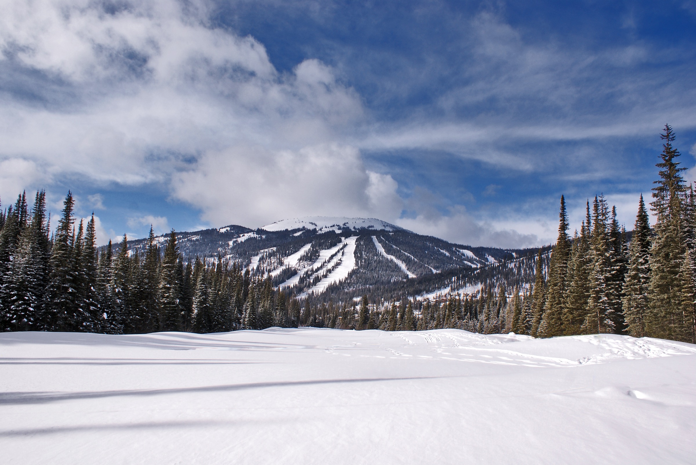 Mount Tod seen from the Great Grey Nordic trail in winter, Sun Peaks, British Columbia