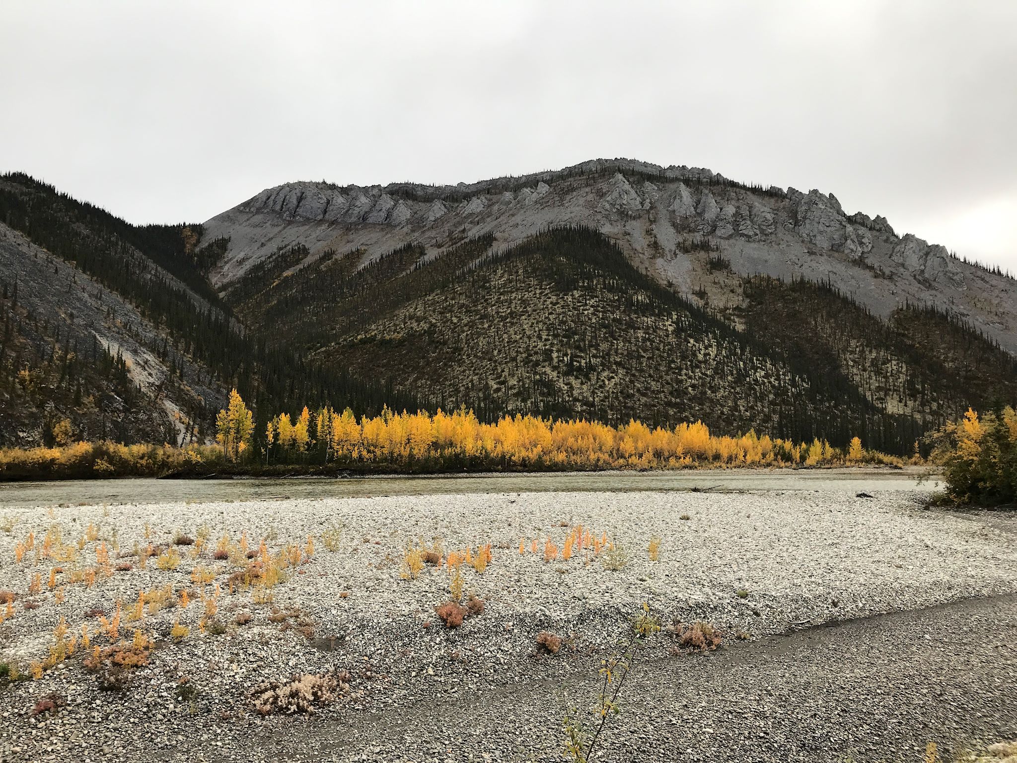 Limestone ridge landscape in the central Ogilvie Mountains