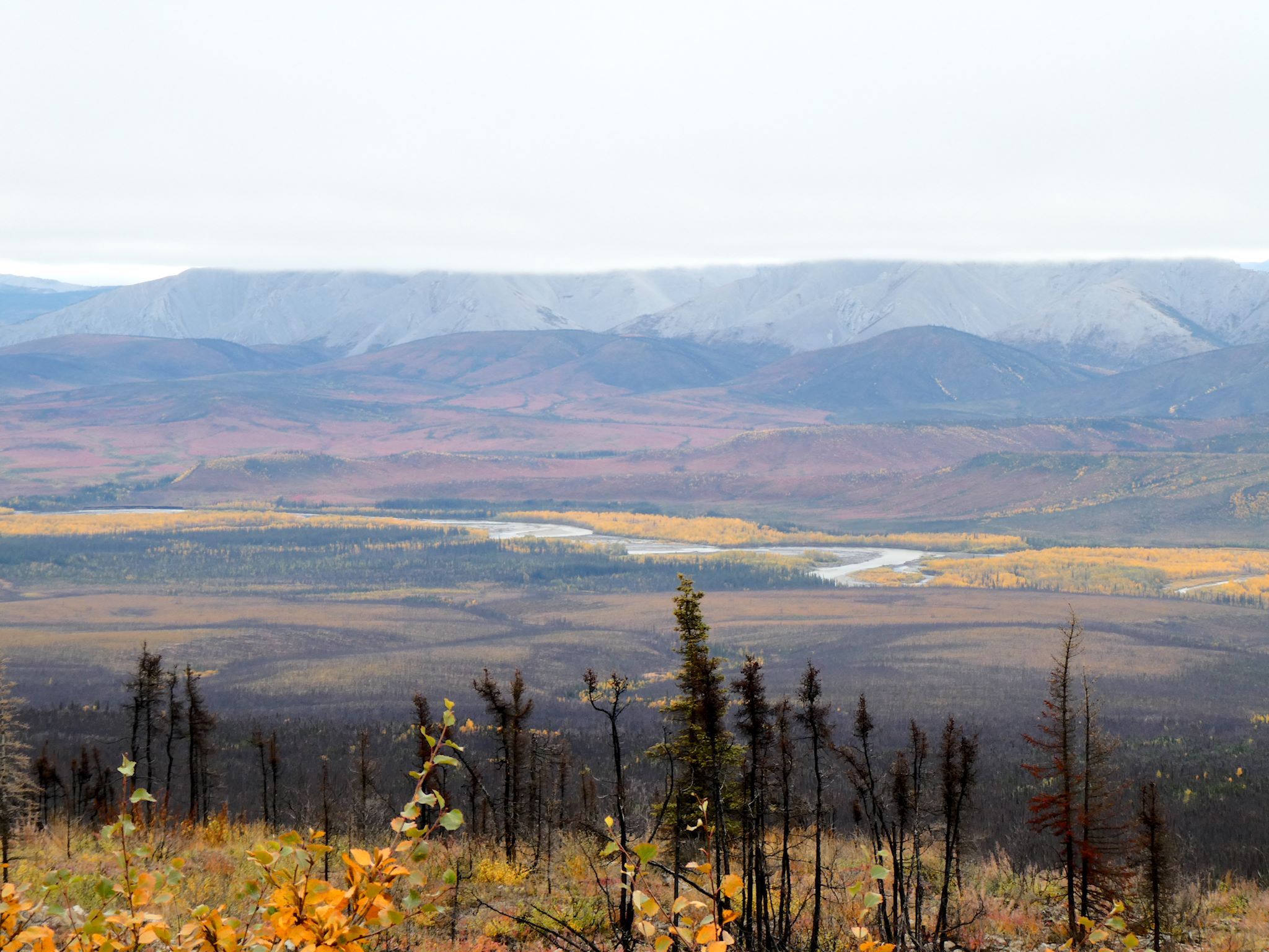 Ogilvie River valley from the Eagle Plateau escarpment