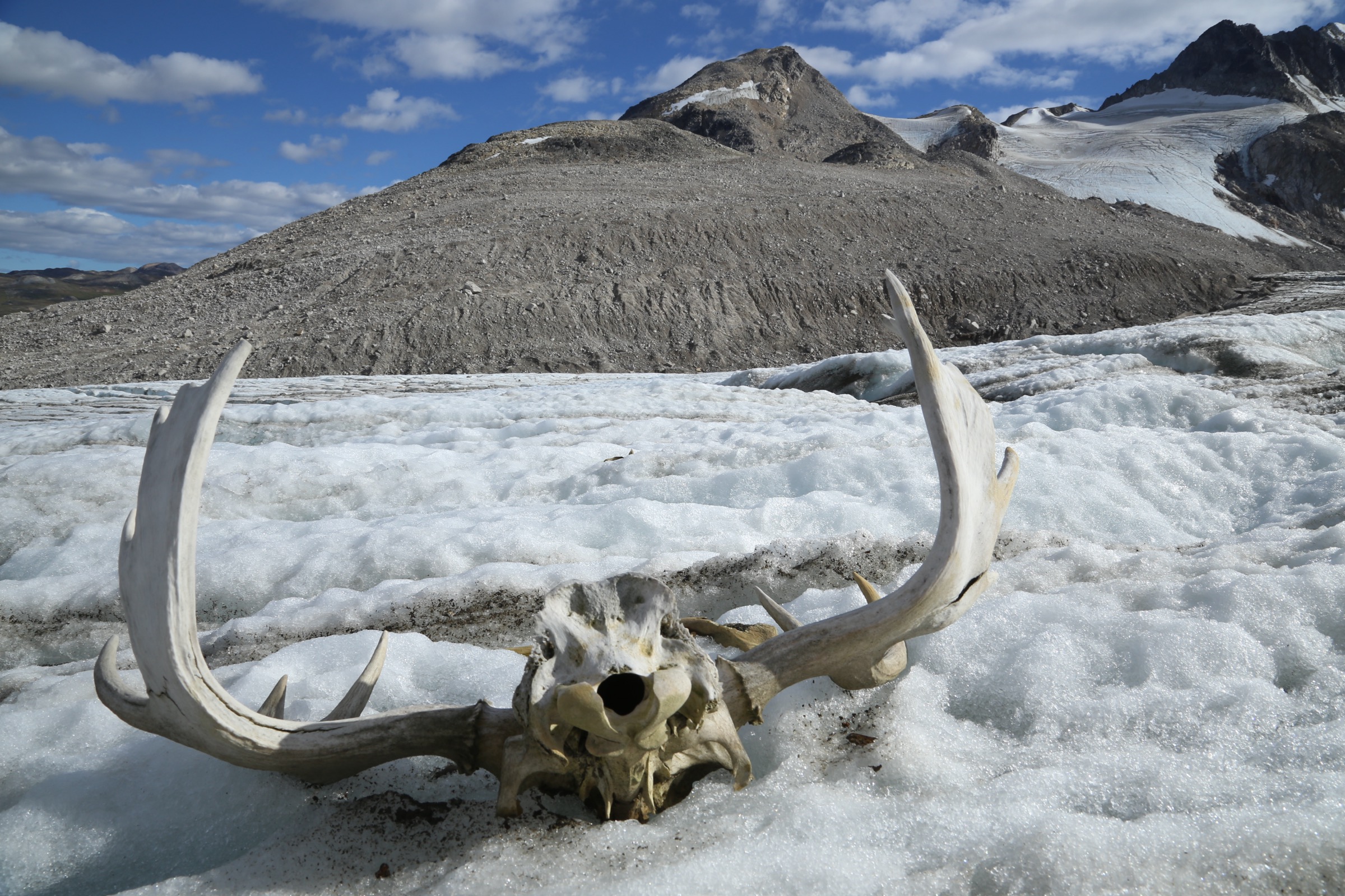 Canada — Alsek and Tatshenshini (St Elias): Essential Day-Hikes