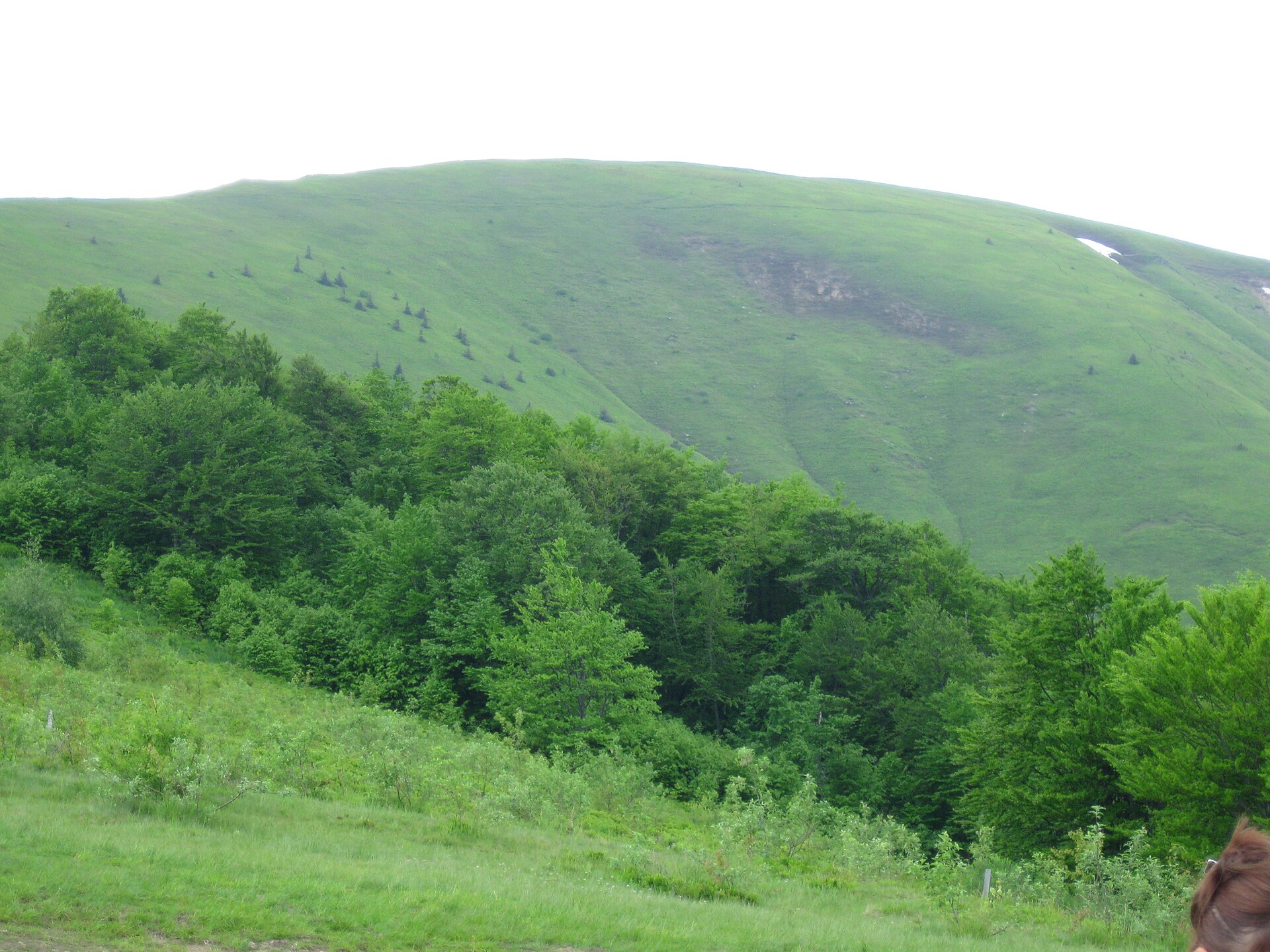 Mount Gemba / Hemba on the Borzhava ridge