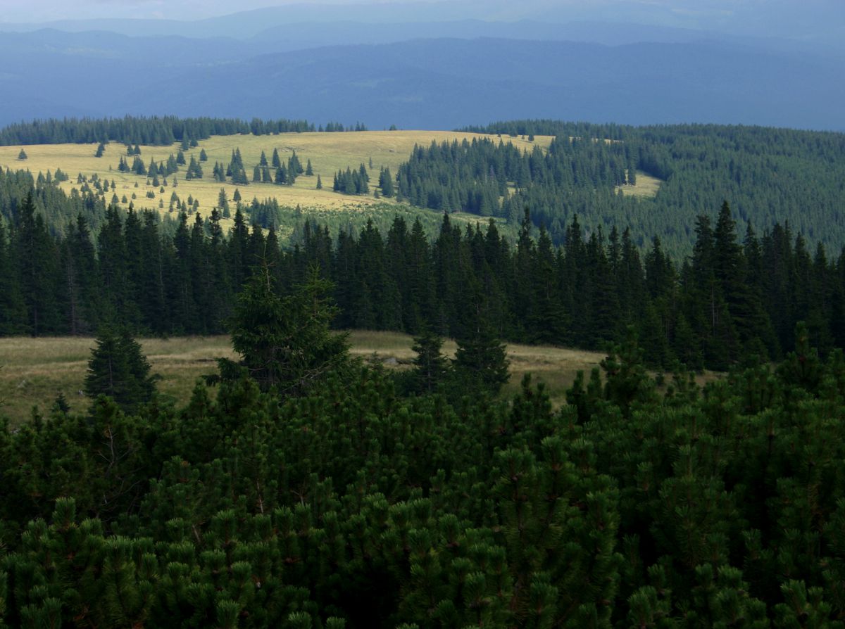 General view of the Călimani Mountains