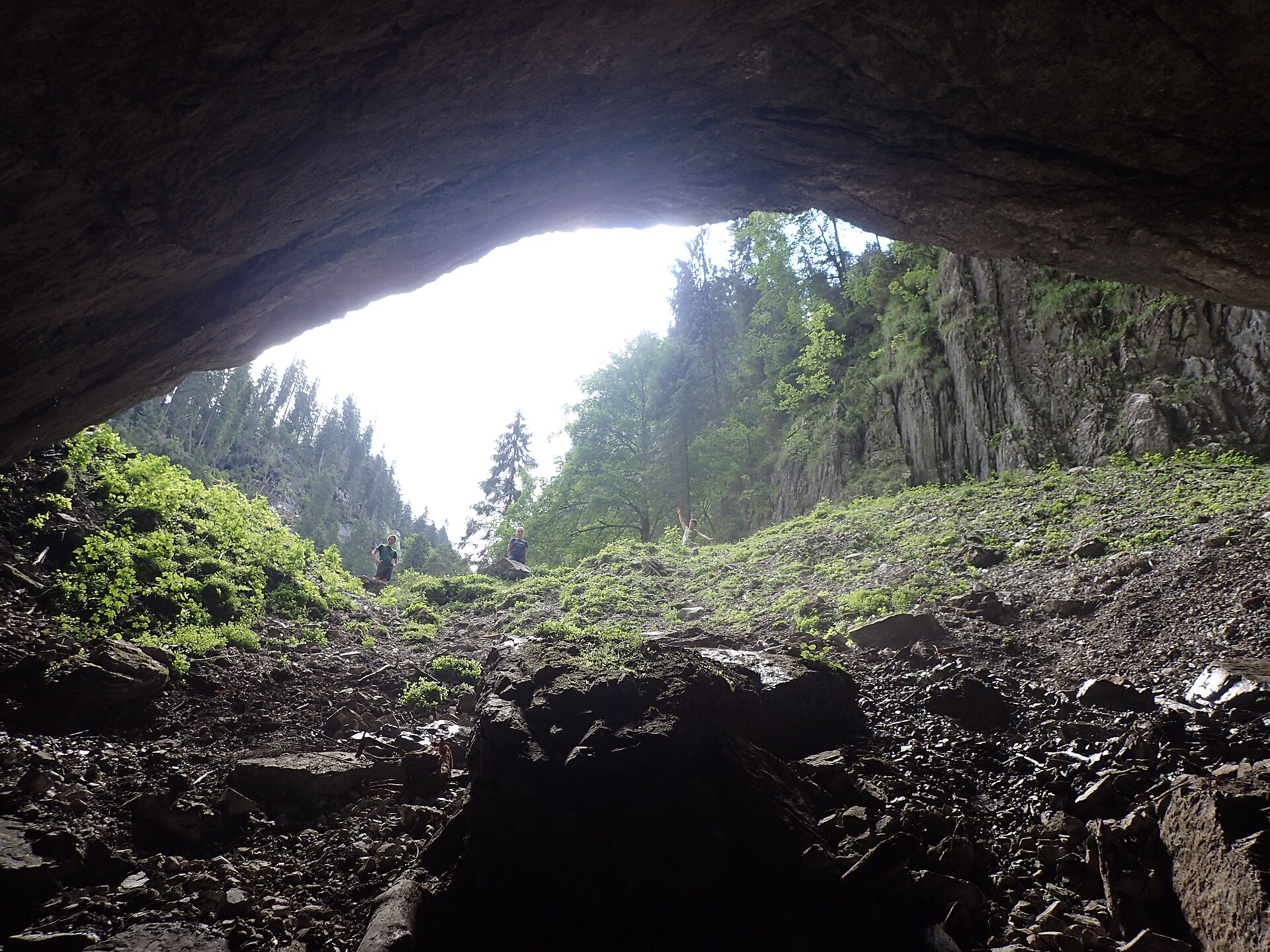 Cetățile Ponorului cave entrance