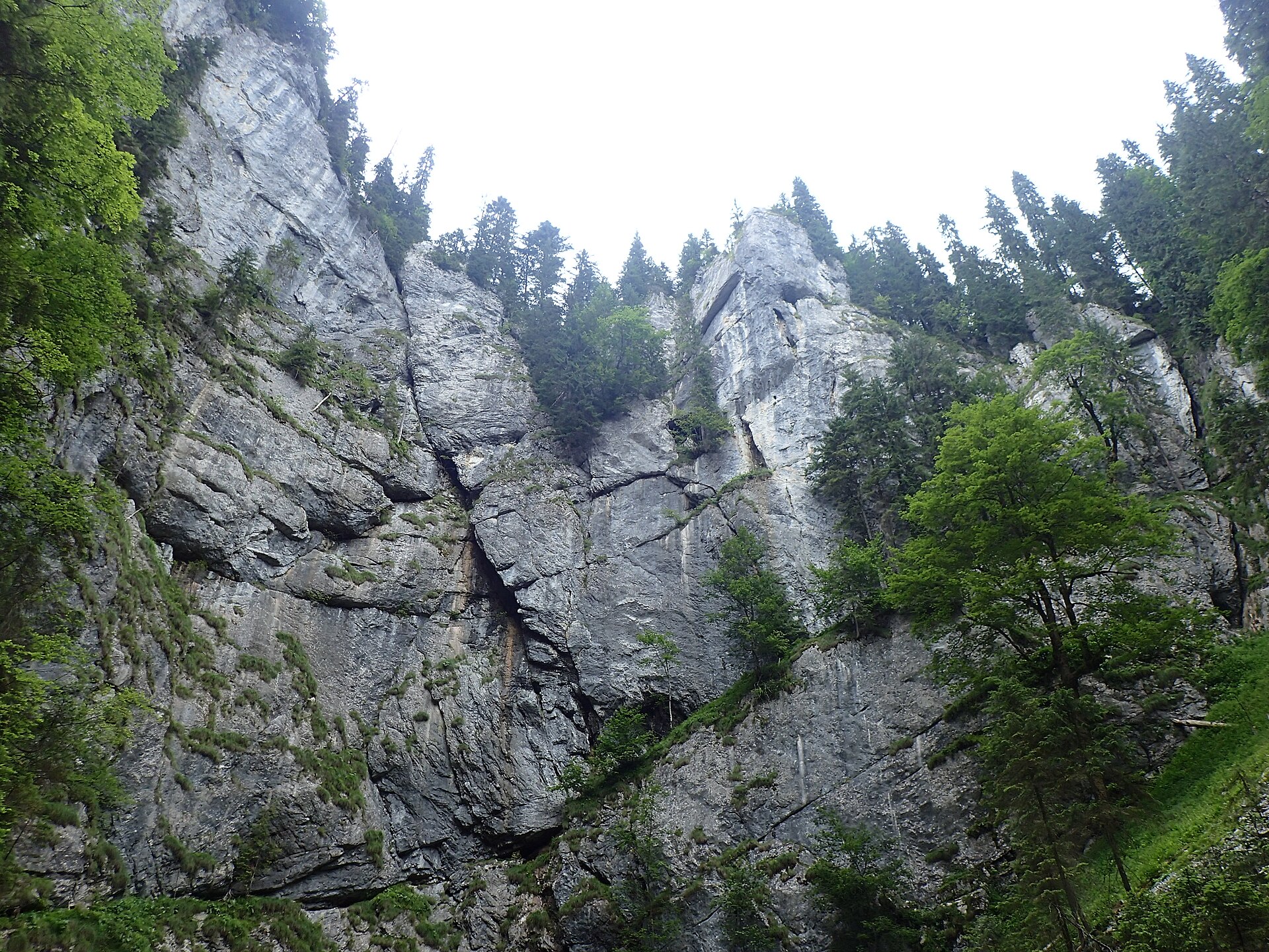 Cetățile Ponorului cave entrance