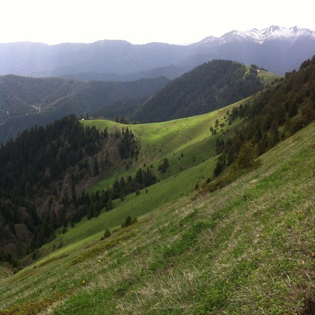 Borjomi-Kharagauli National Park