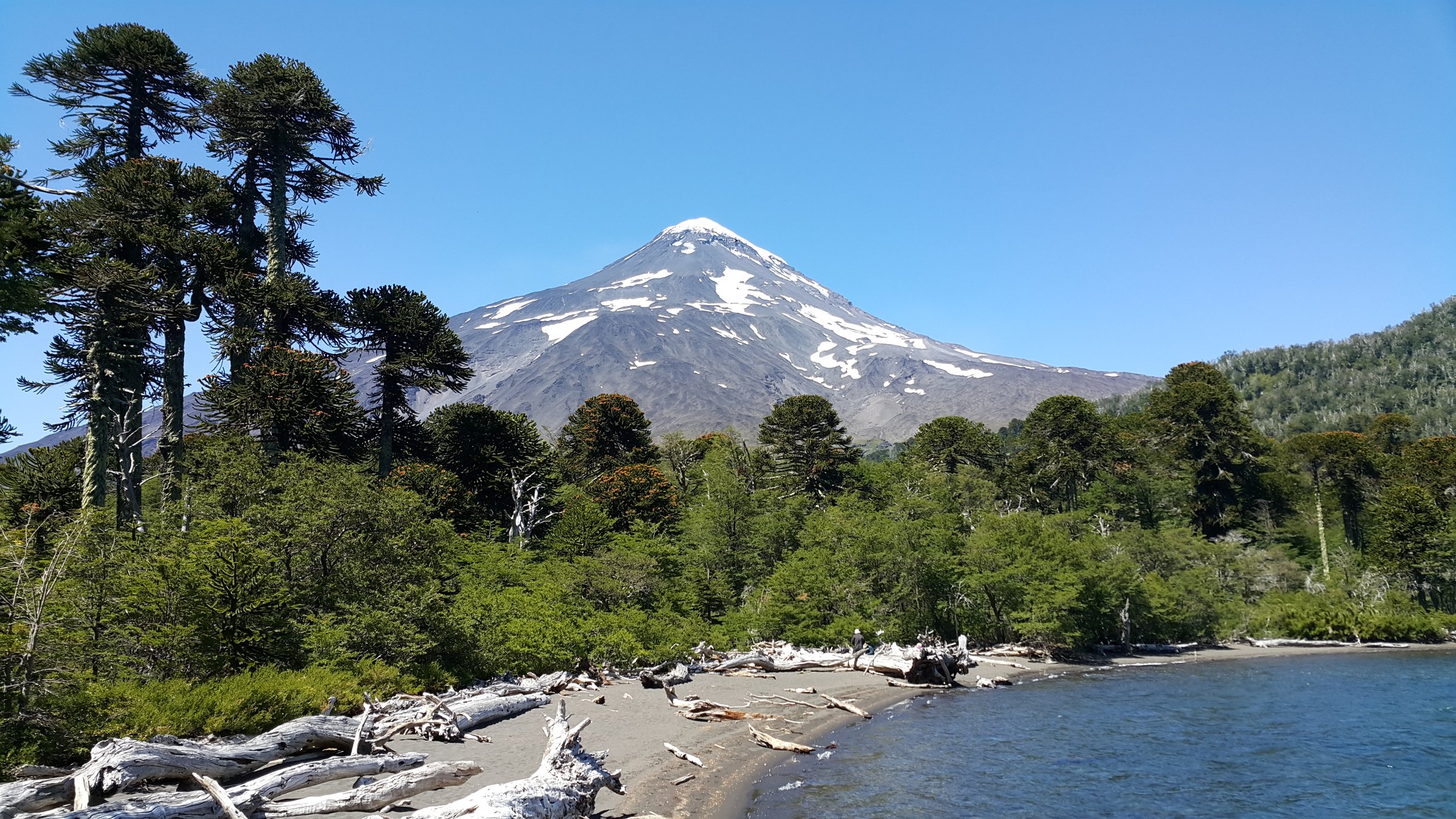 Laguna Huenfuica and Volcán Lanín