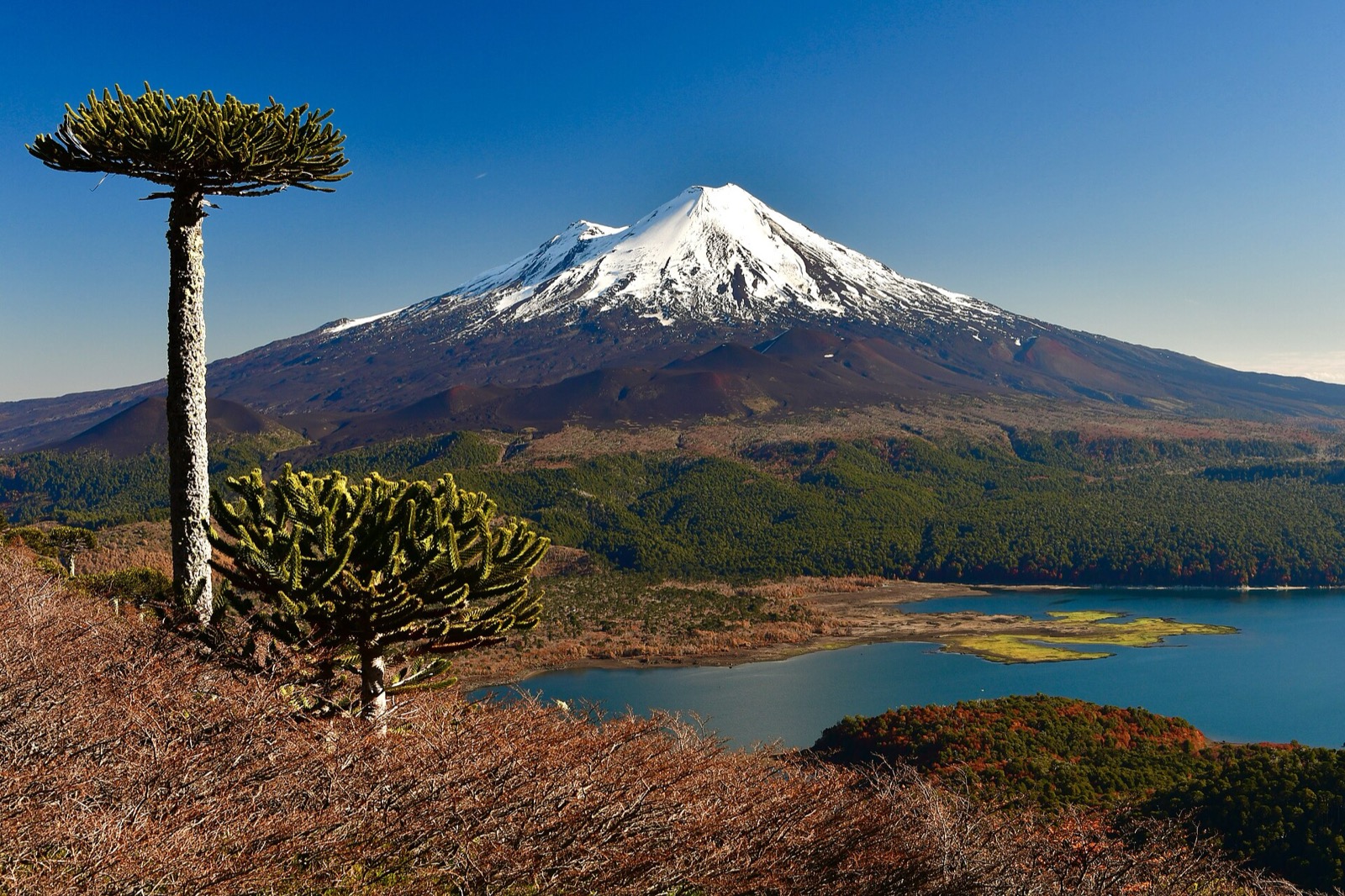 Volcán Llaima and Lago Conguillío seen from Sierra Nevada