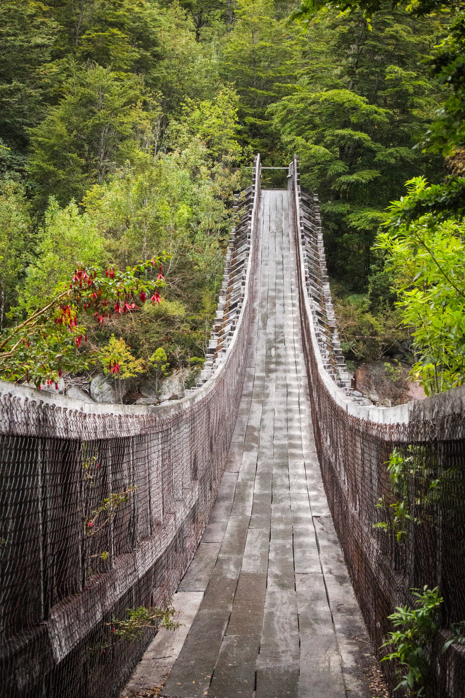 Río Ventisquero bridge on the Ventisquero Colgante trail, Queulat National Park