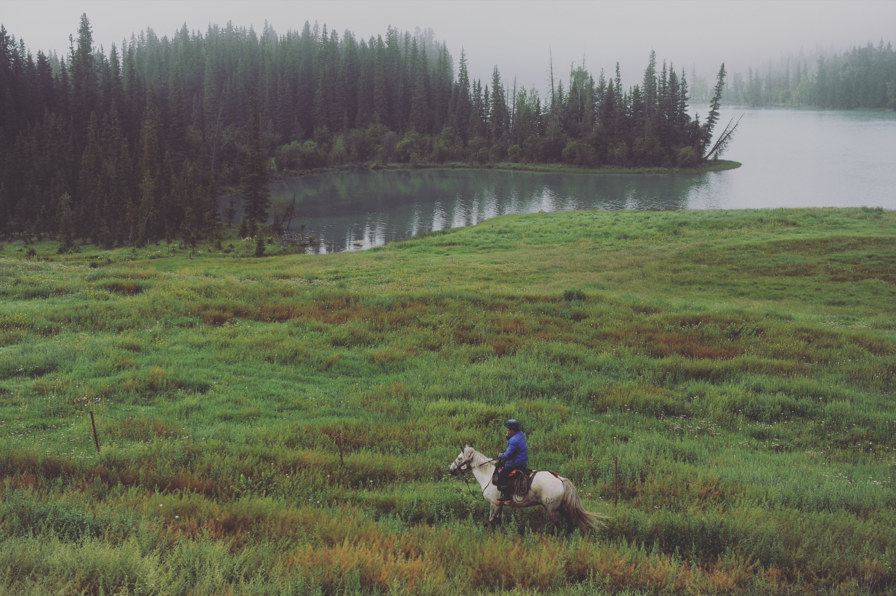Horses on a meadow above Kanas Lake, near the Baihaba area of the Chinese Altai