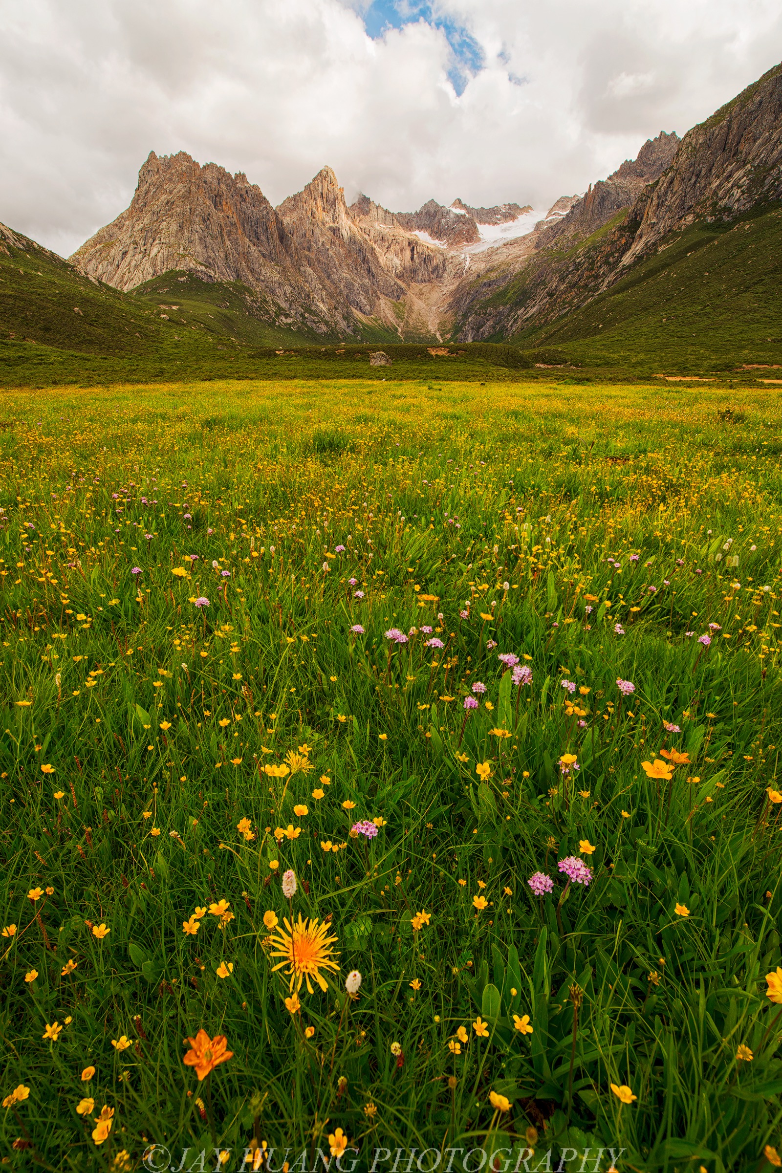 Wildflower meadow at the foot of the Nianbaoyuze massif, Qinghai