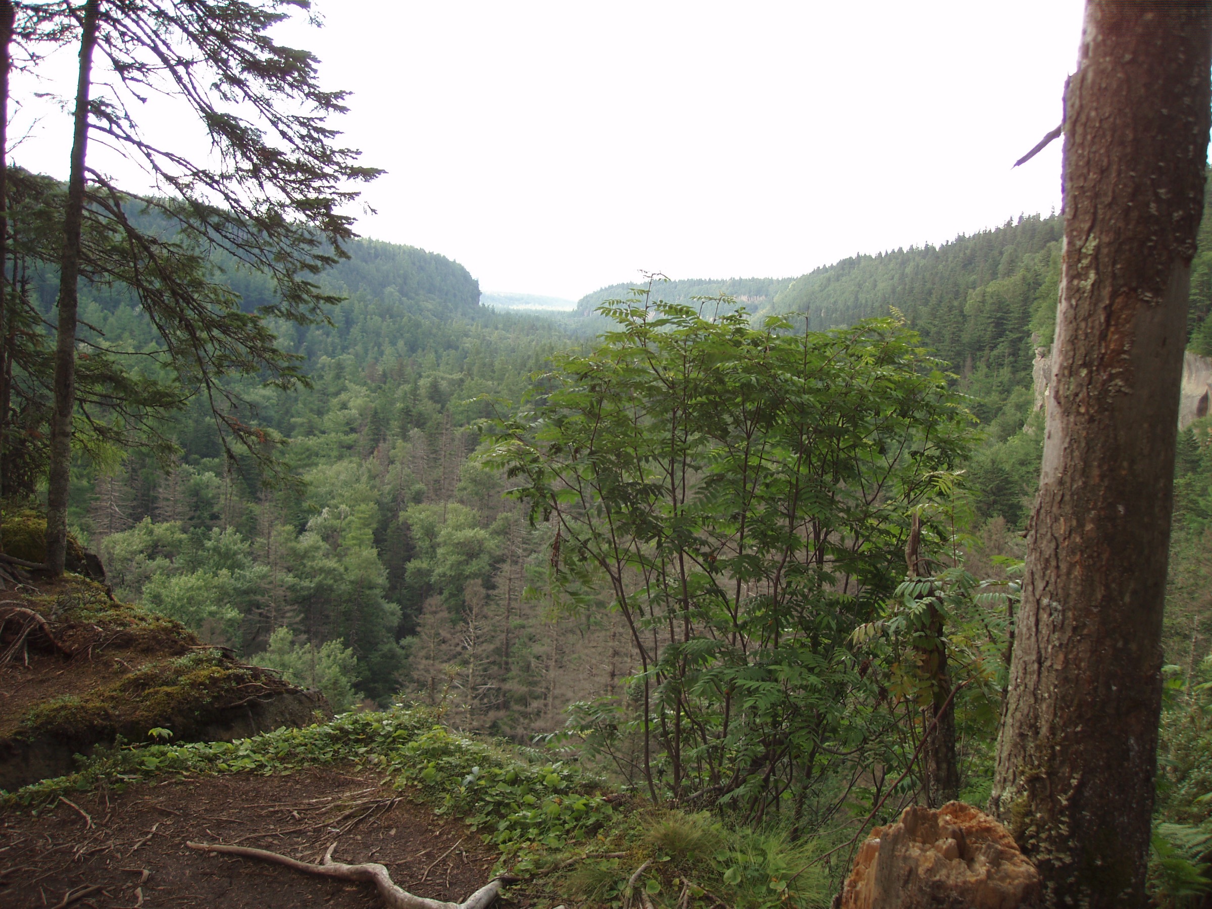 China — Changbai Mountains, Laoyeling Region, Jilin day-hikes