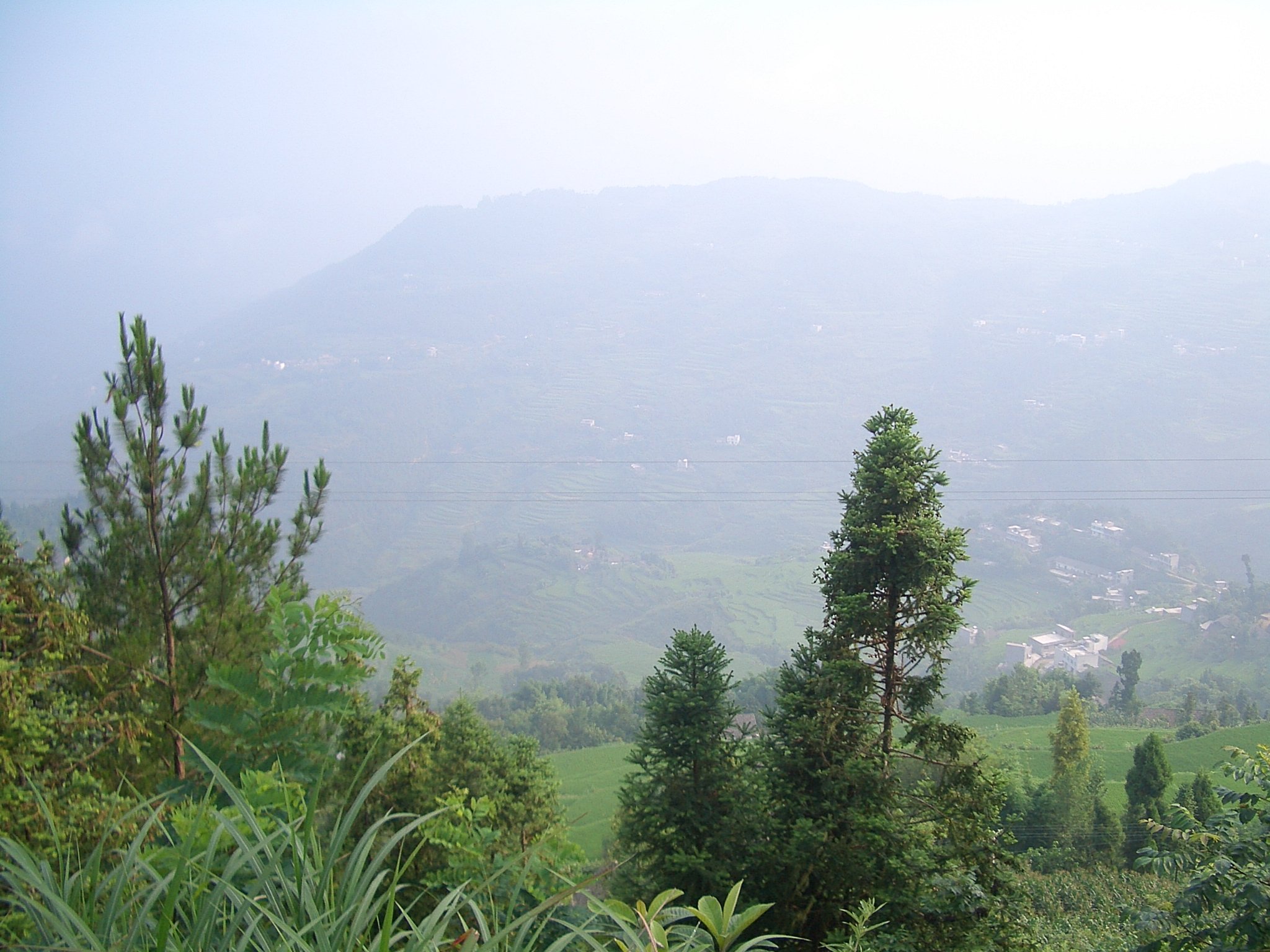Daba region rural landscape: Xiqiuwan xiang, Baishawan village fields