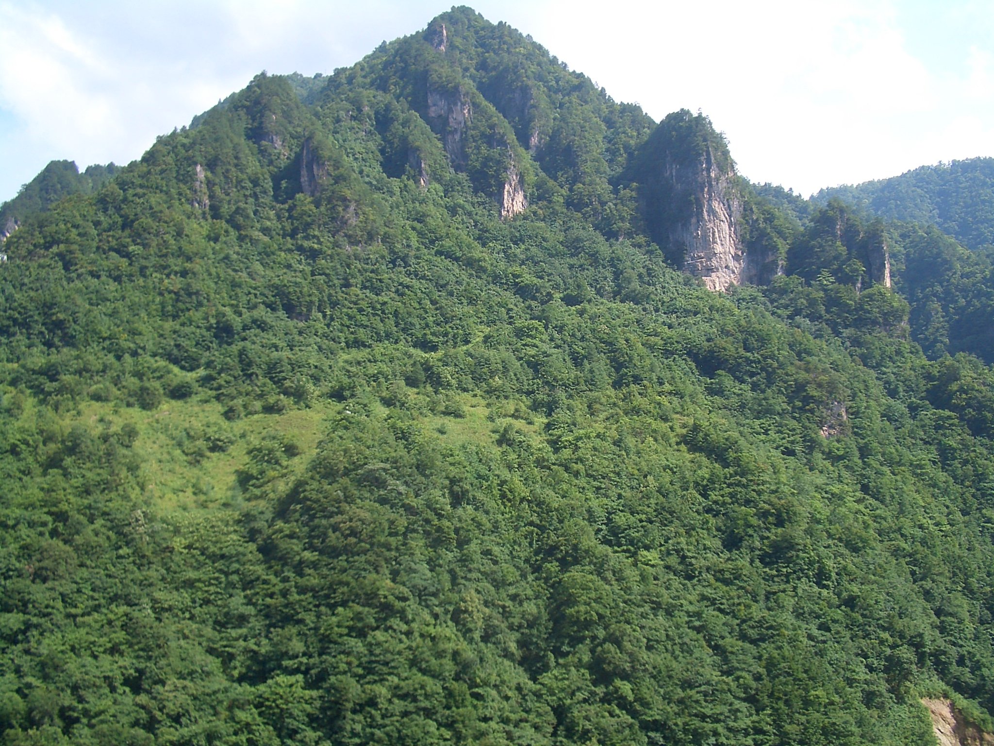 China — Daba Mountains, Qinba Transition: Essential Day-Hikes