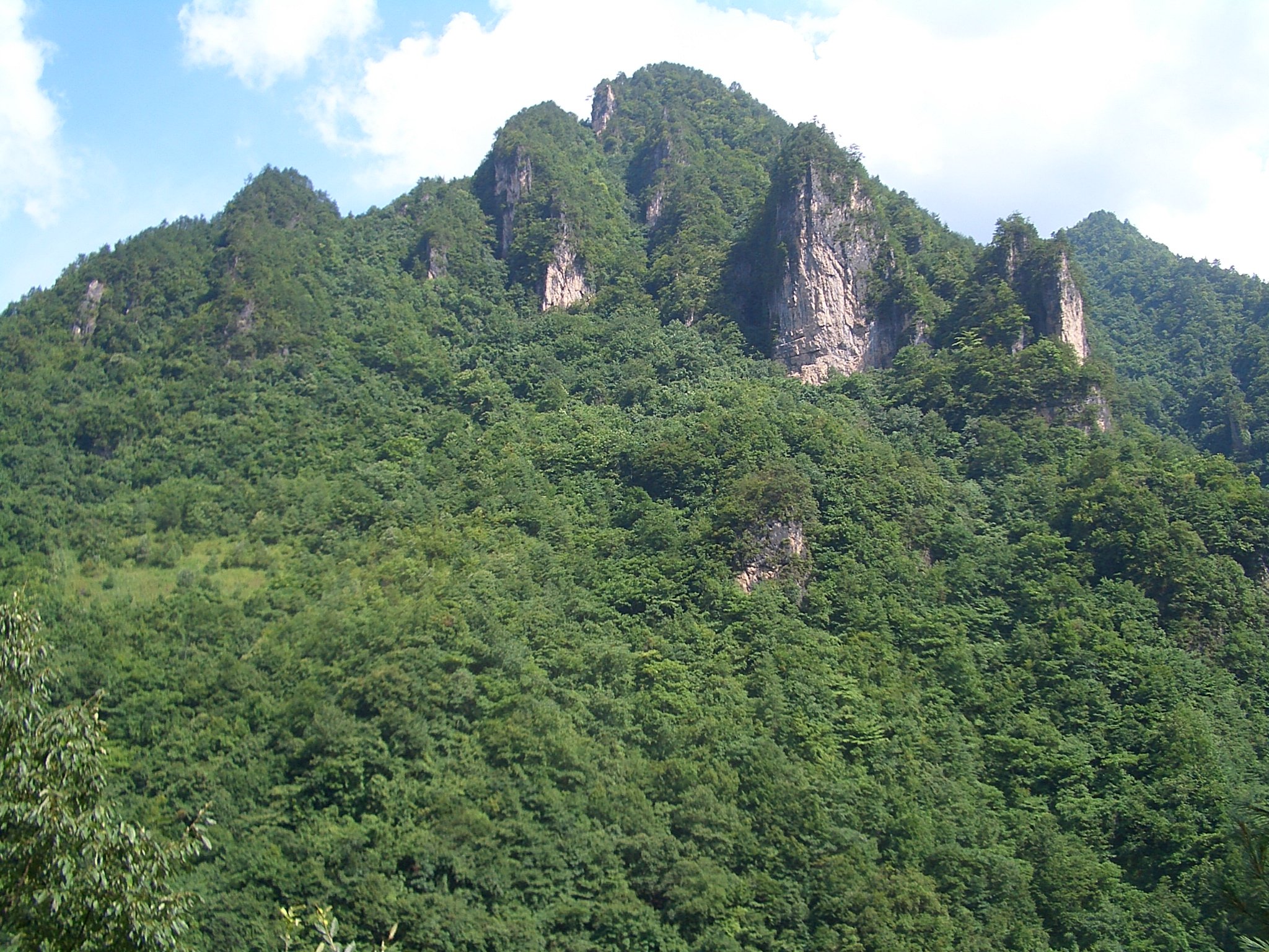 Mountain in central Shennongjia