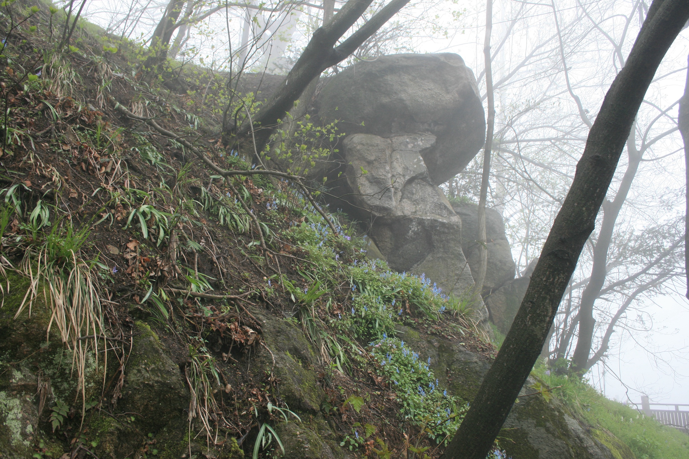 China — Henan Dabie Mountains: Essential Day-Hikes