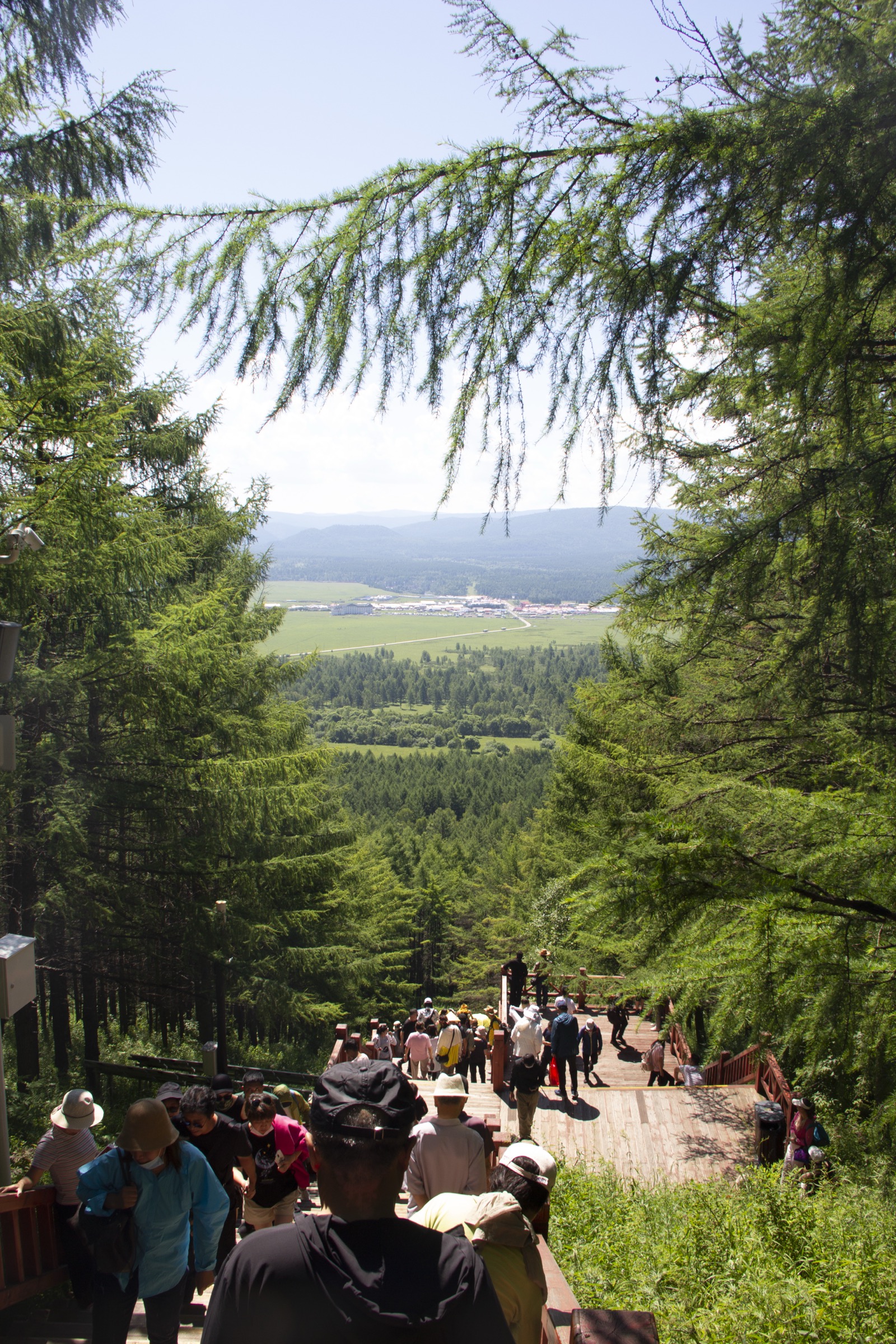 View down from the Arxan Tianchi staircase into the larch and birch taiga