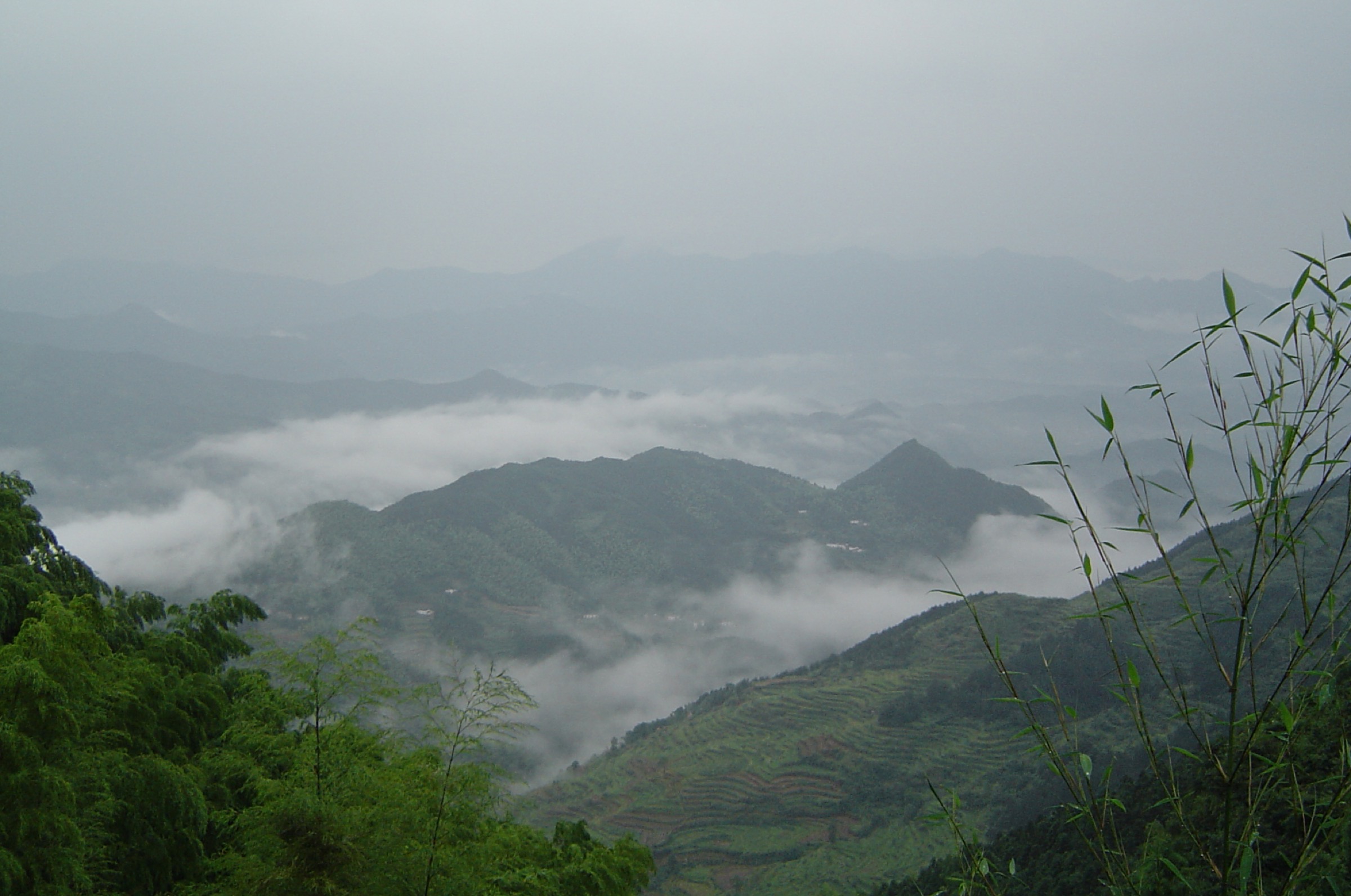 Cloud sea from the Lesser Tiantai area, Jiuhua Shan