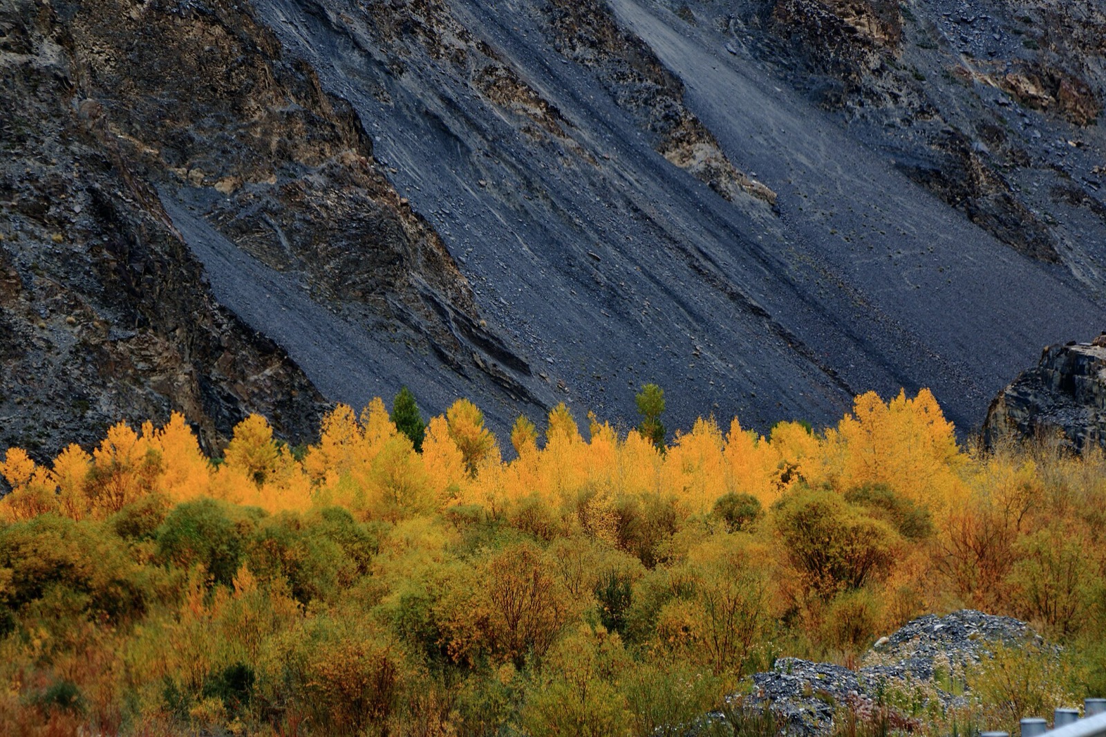 Autumn at Khunjerab Pass, Karakoram frontier